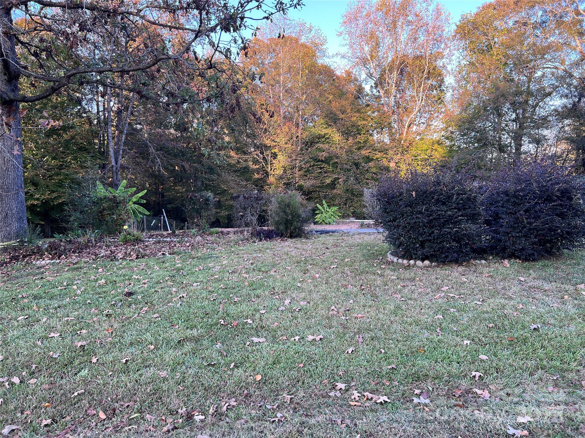 Fox Run - Land