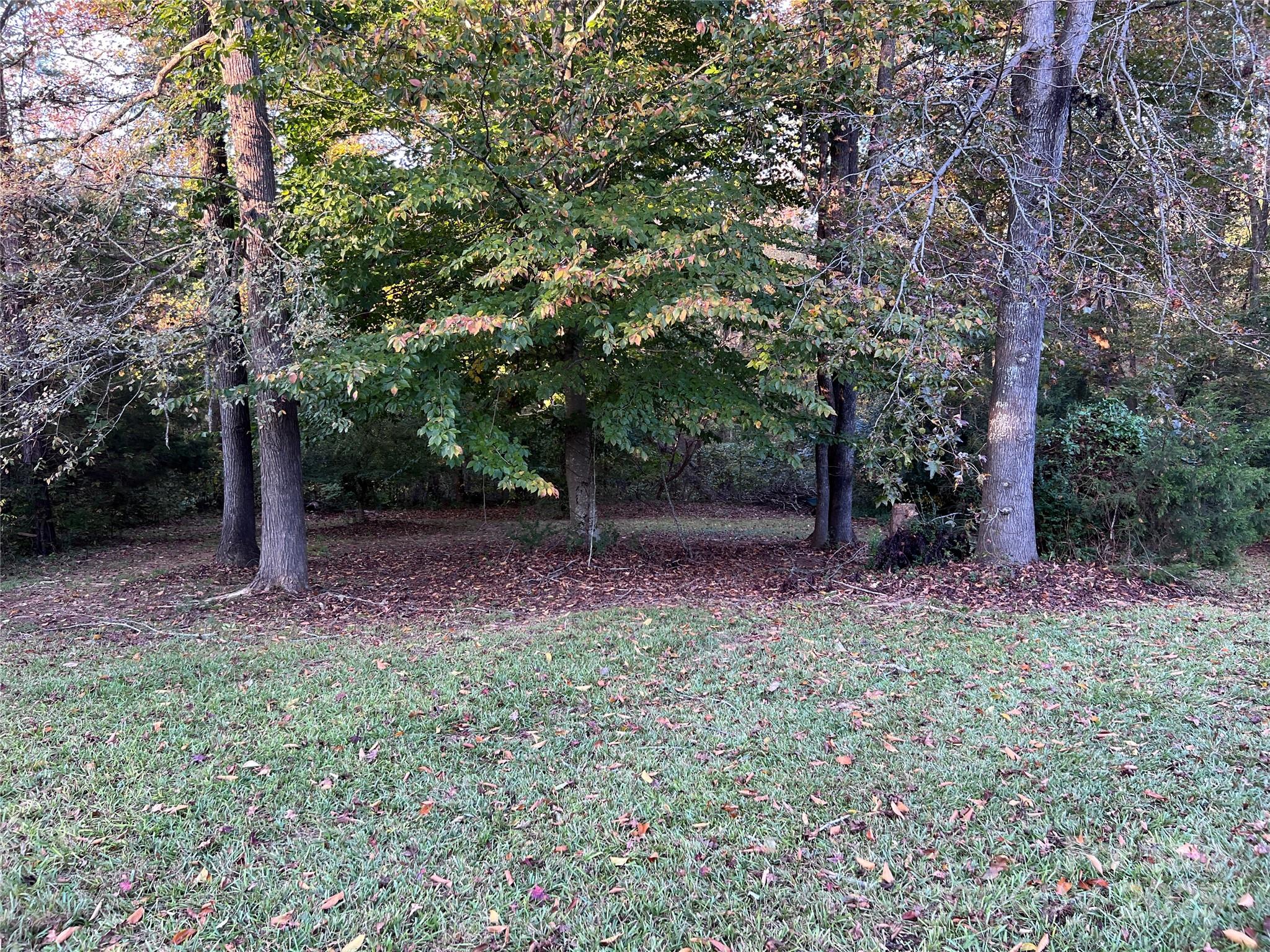 Fox Run - Land