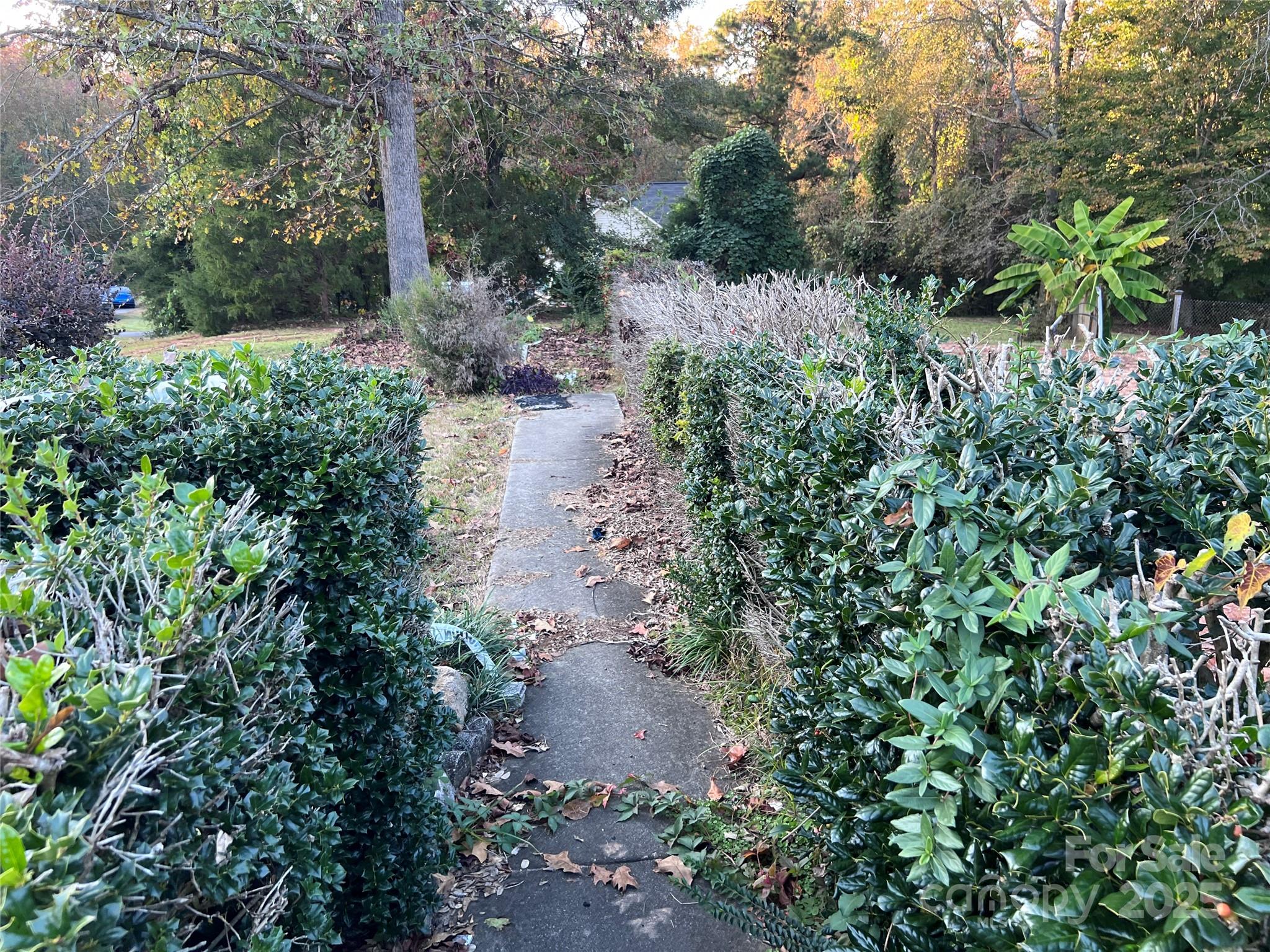 Fox Run - Land