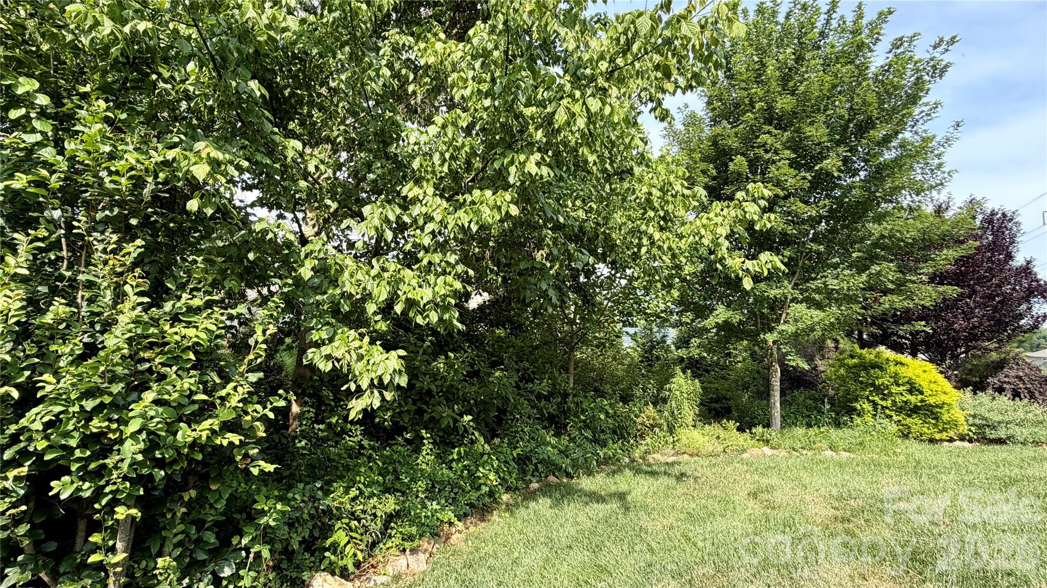 Cedarvale Farms - Residential