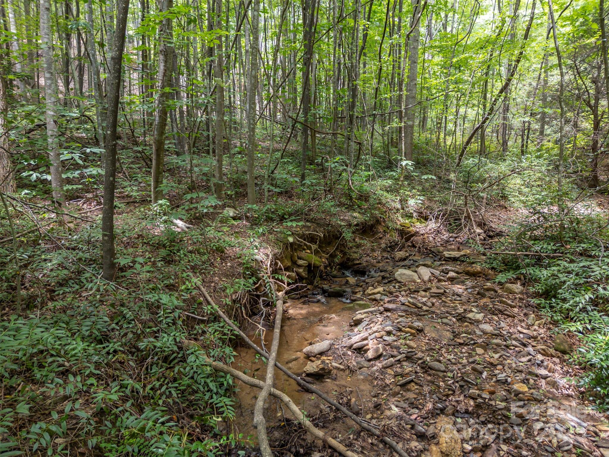 Brights Creek - Land