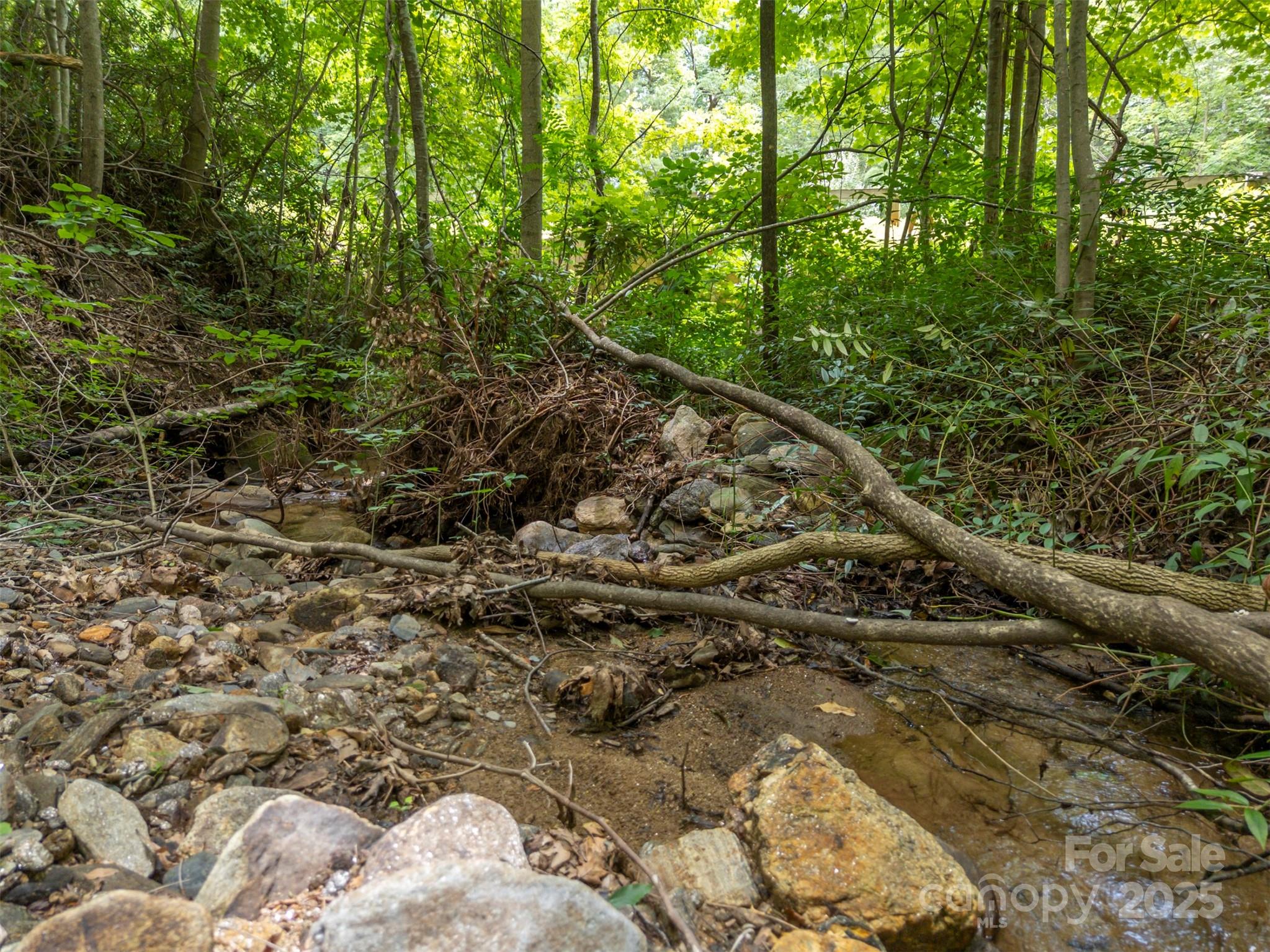 Brights Creek - Land