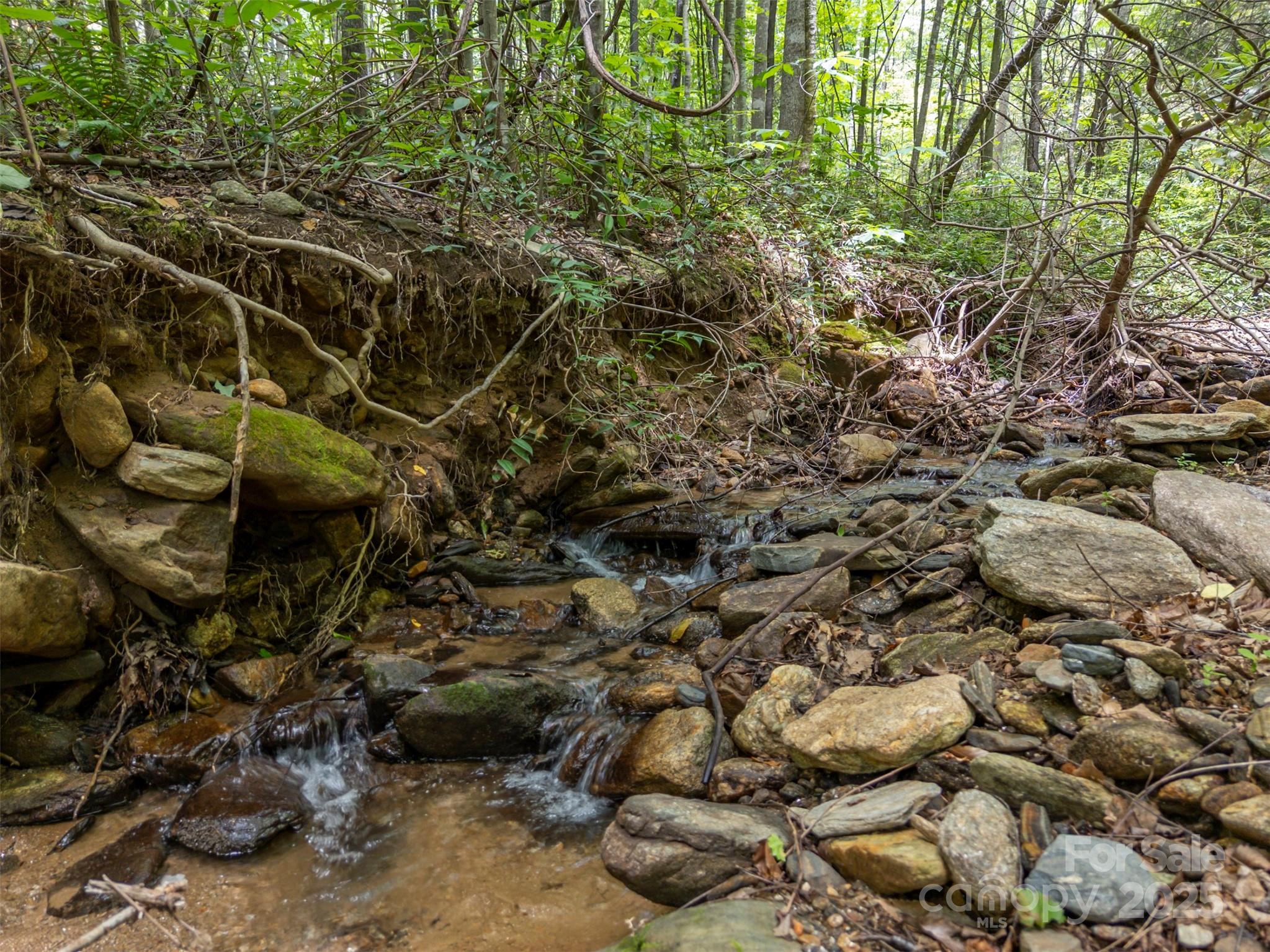 Brights Creek - Land