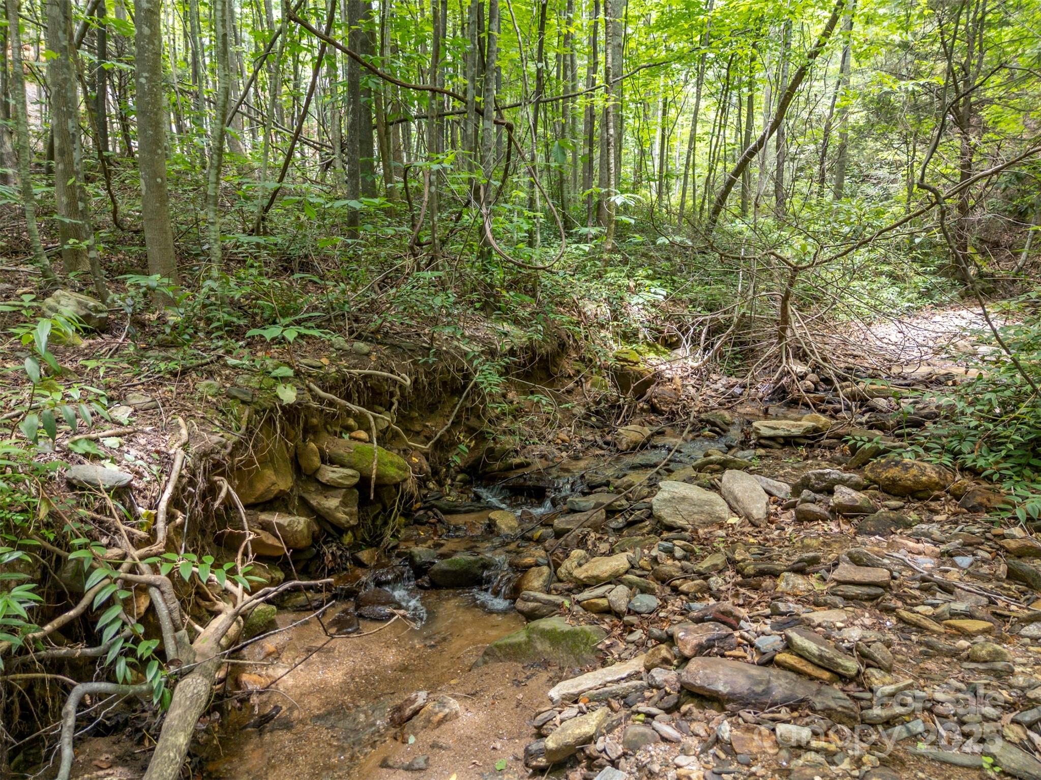 Brights Creek - Land