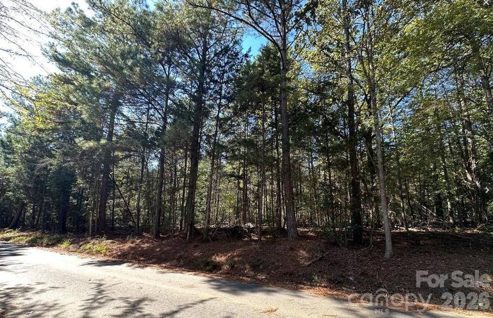 Explore the possibilities with this (+/-).345-acre wooded lot on Poverty Hollow Road in Fort Lawn, SC. This untouched property offers a peaceful, natural setting—perfect for building. Enjoy the quiet charm of country living while remaining conveniently close to nearby towns and highways.