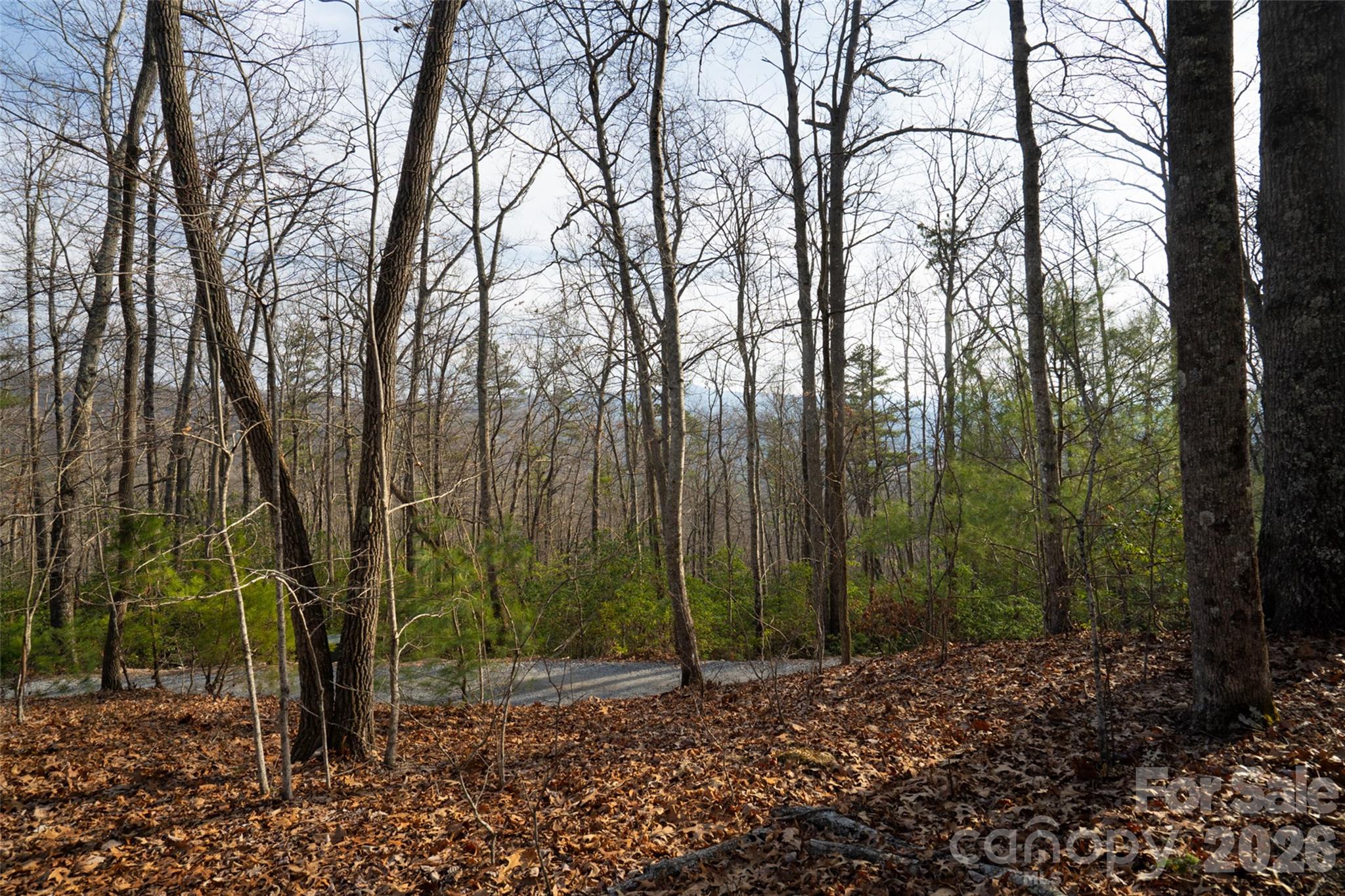 Poplar Crest - Land
