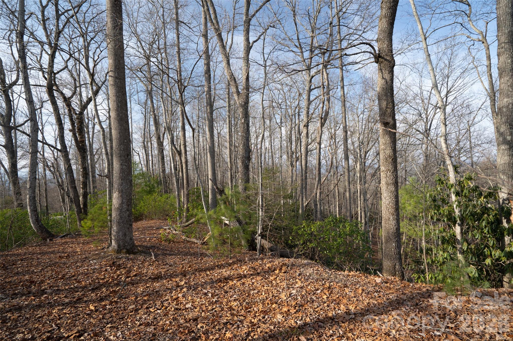 Poplar Crest - Land