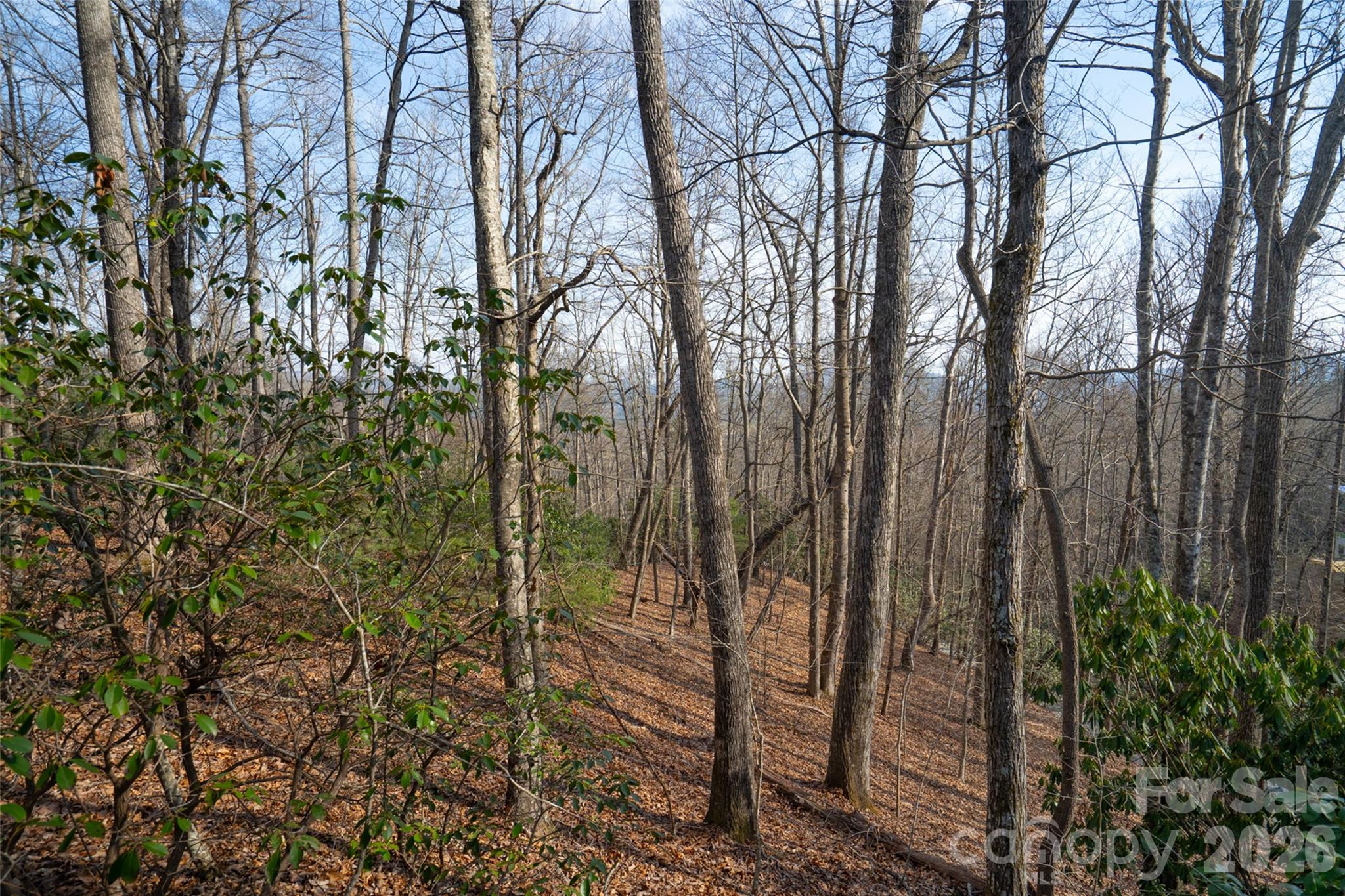 Poplar Crest - Land