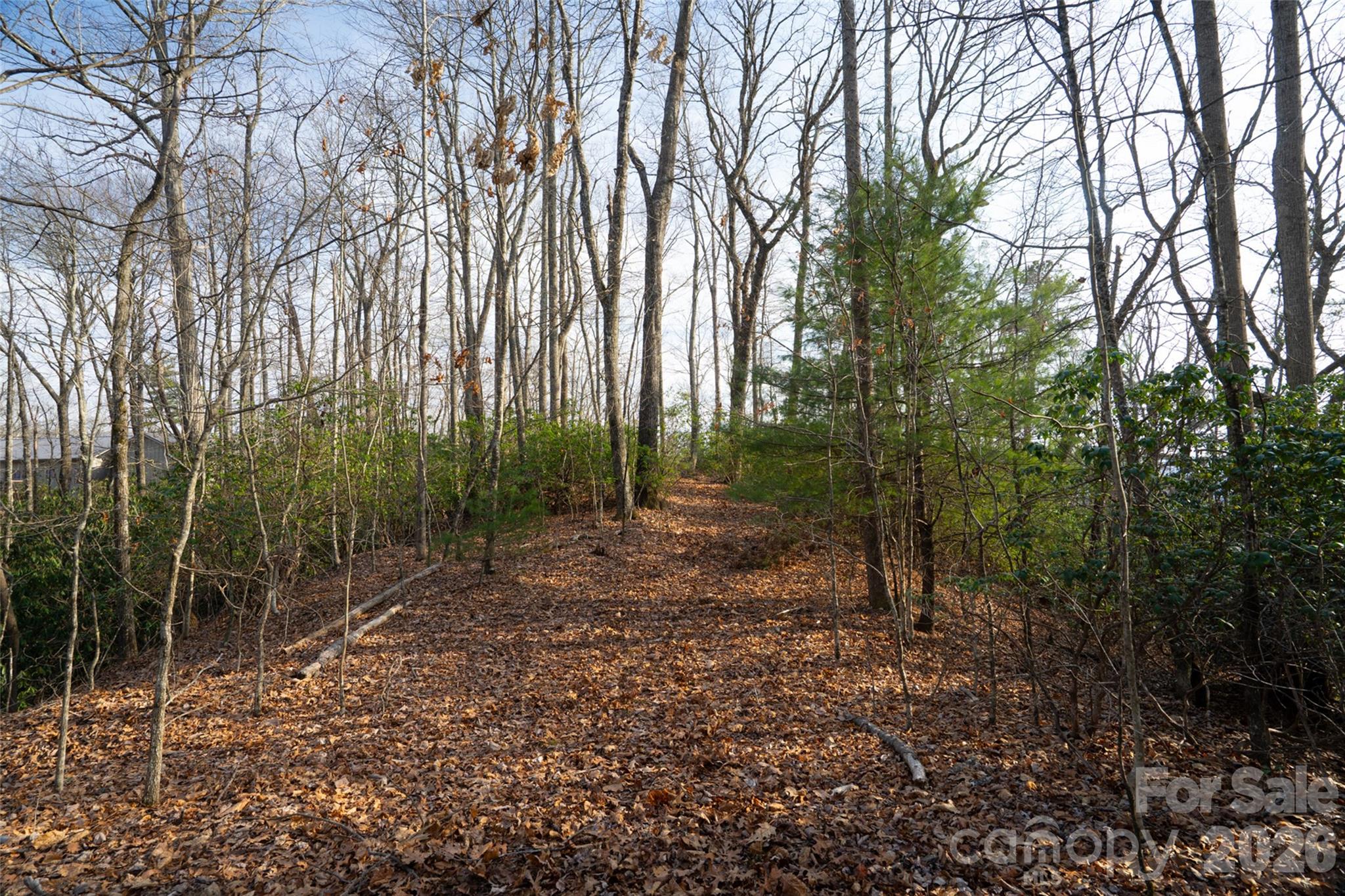 Poplar Crest - Land