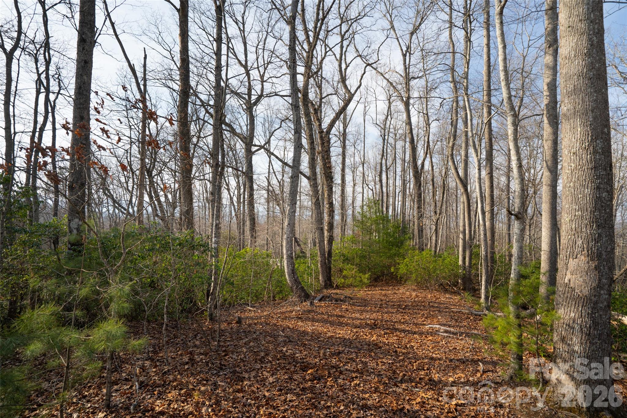 Poplar Crest - Land