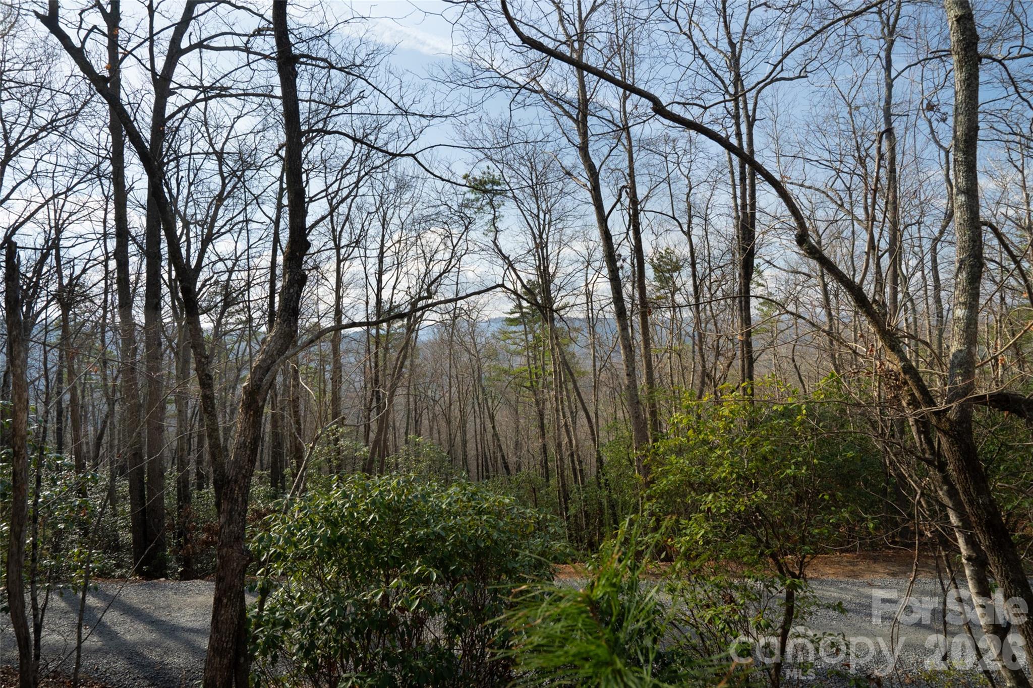 Poplar Crest - Land