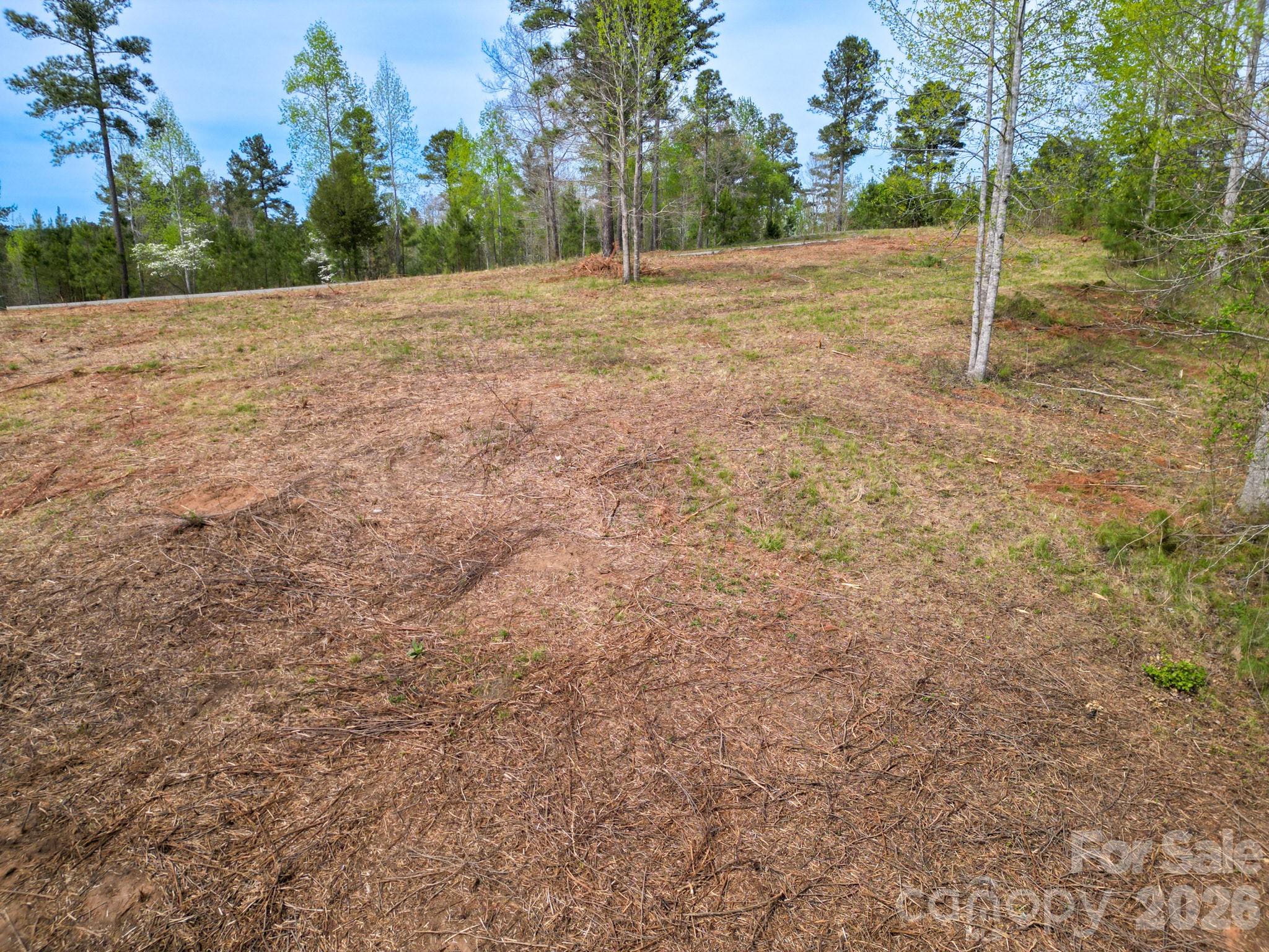 Island Pointe at Lake Vistas - Land