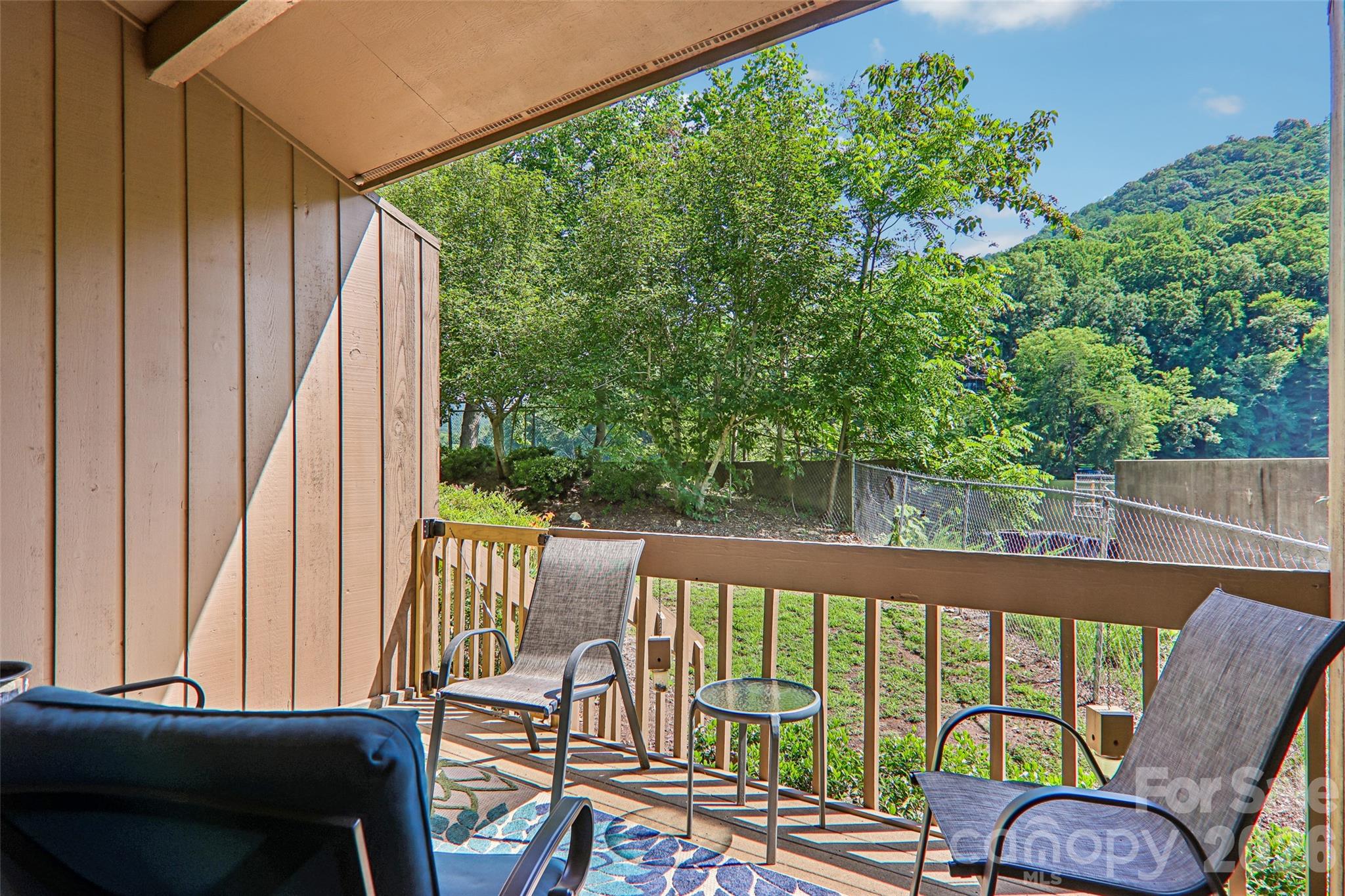 Rumbling Bald on Lake Lure - Residential