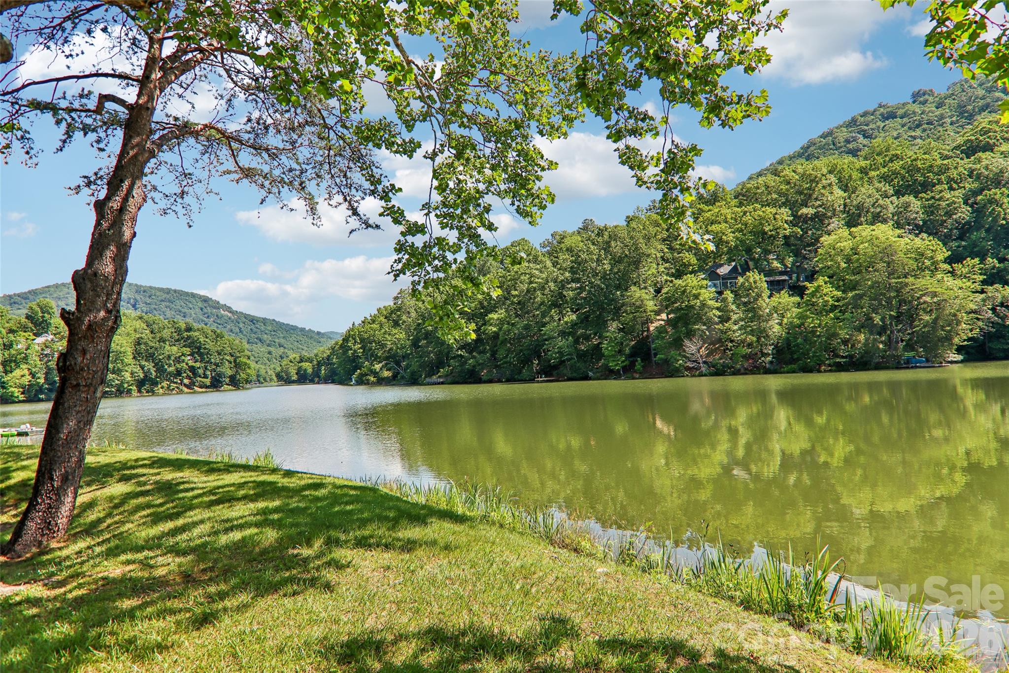 Rumbling Bald on Lake Lure - Residential
