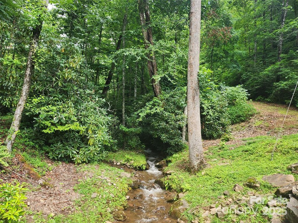 Hemlock Falls - Land