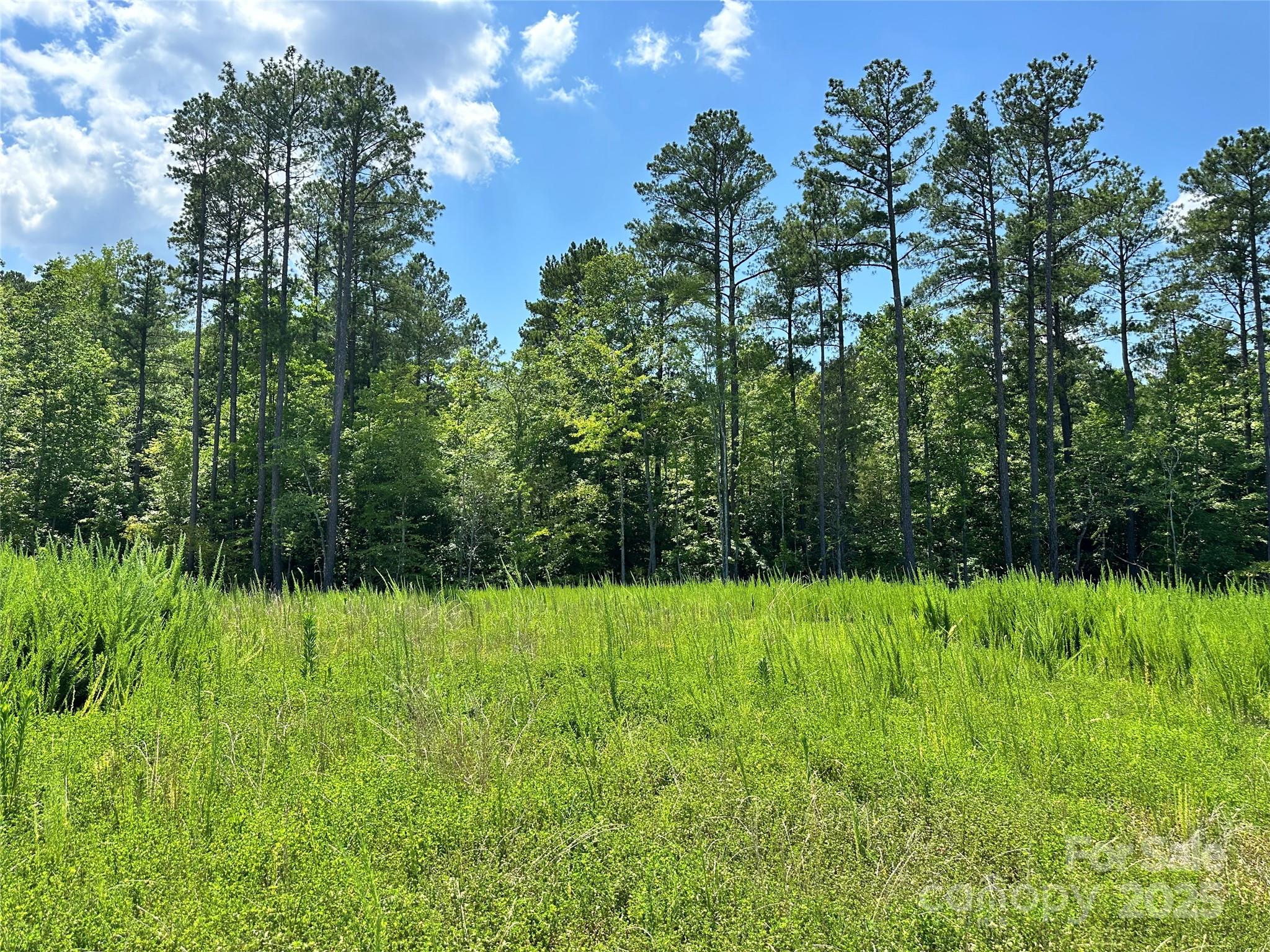 Davidson Woods - Residential