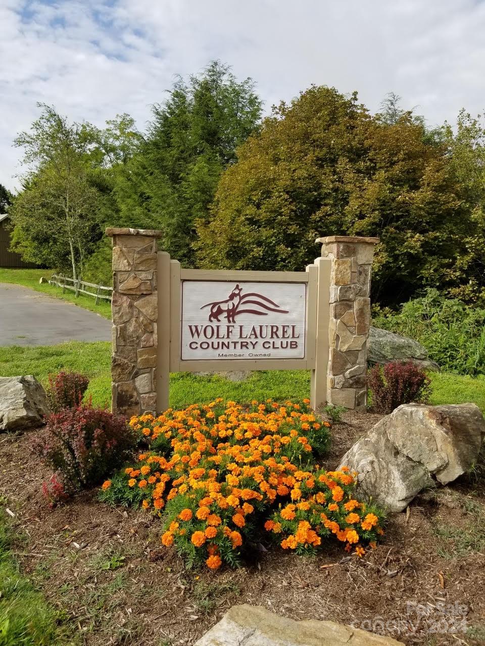 Wolf Laurel - Land