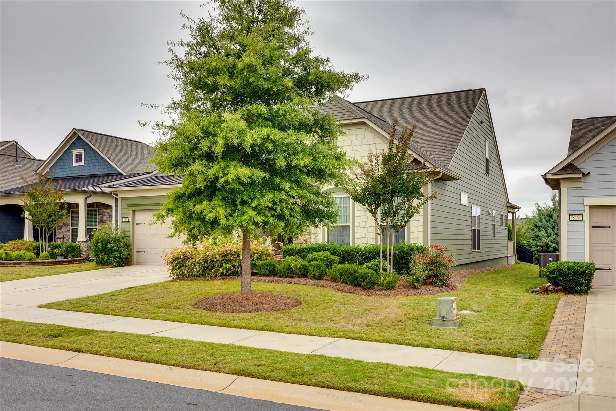 Carolina Orchards - Residential