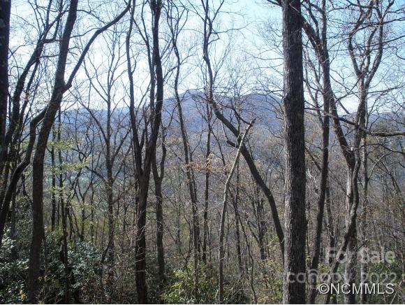 Dellwood Forest - Land