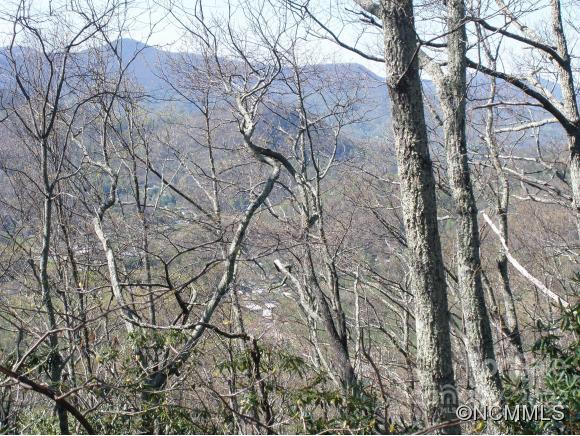 Dellwood Forest - Land