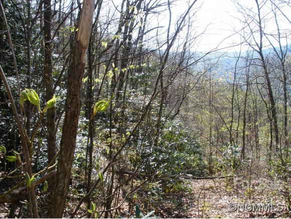 Dellwood Forest - Land