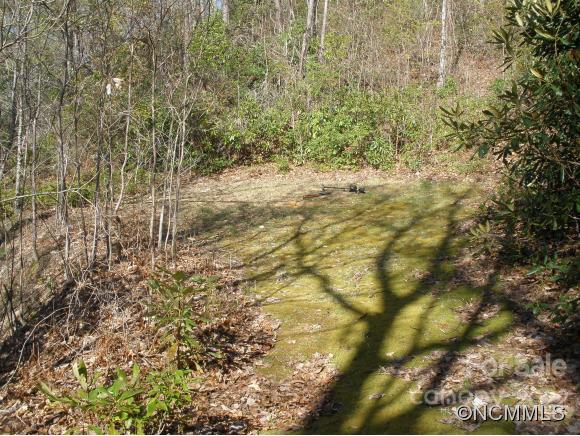 Dellwood Forest - Land