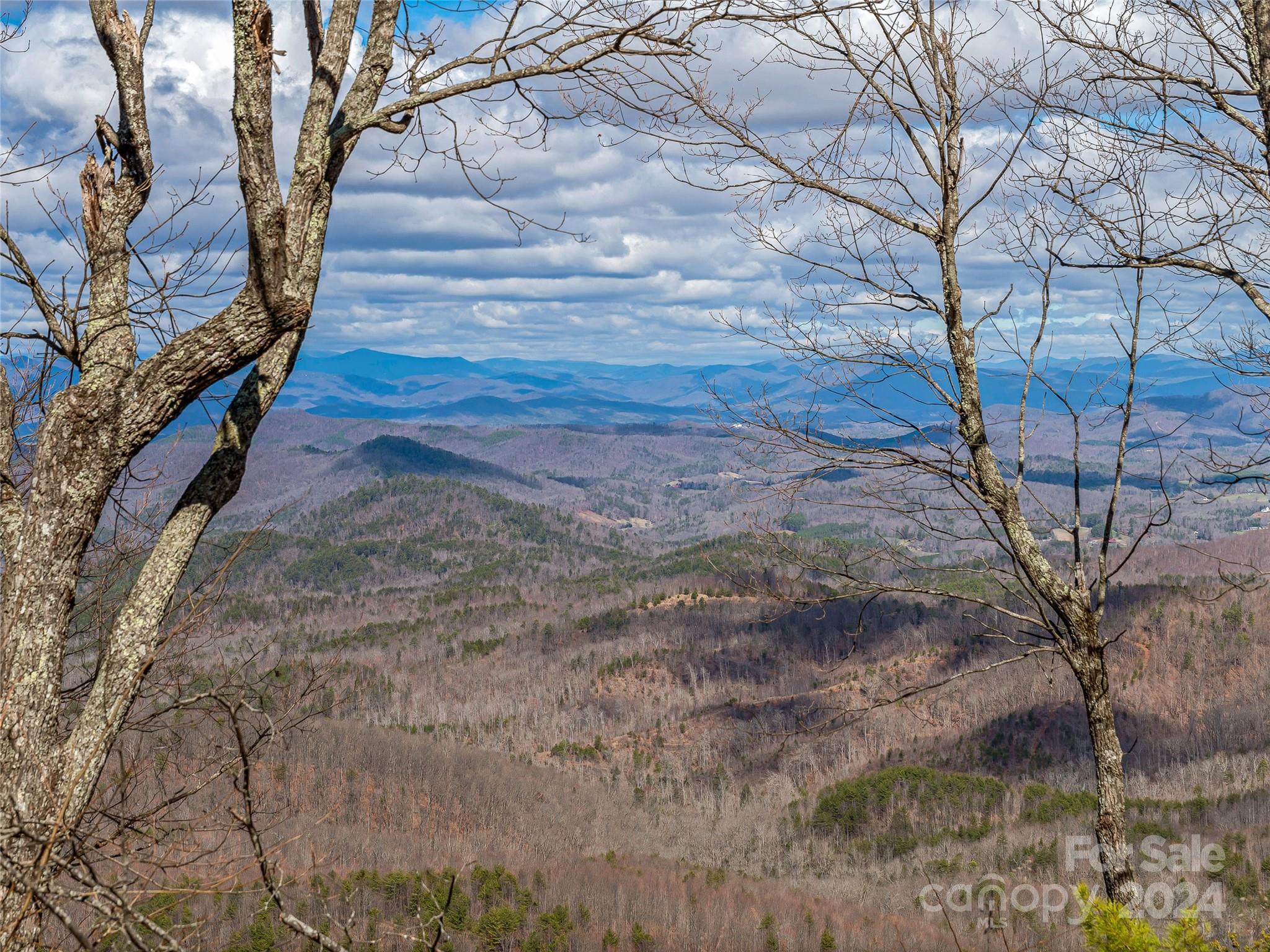 Breathtaking, Spectacular Views at 2357 Feet Elevation.  One of the highest points within Great Sky, formerly "Queens Gap" 3.67 acres on the side of the Mountain.   Must see to experience this absolute stunning opportunity.  Building the perfect cottage, nestled into the side of the mountain with no views of any other home from any direction.  Heavenly Paradise awaits.