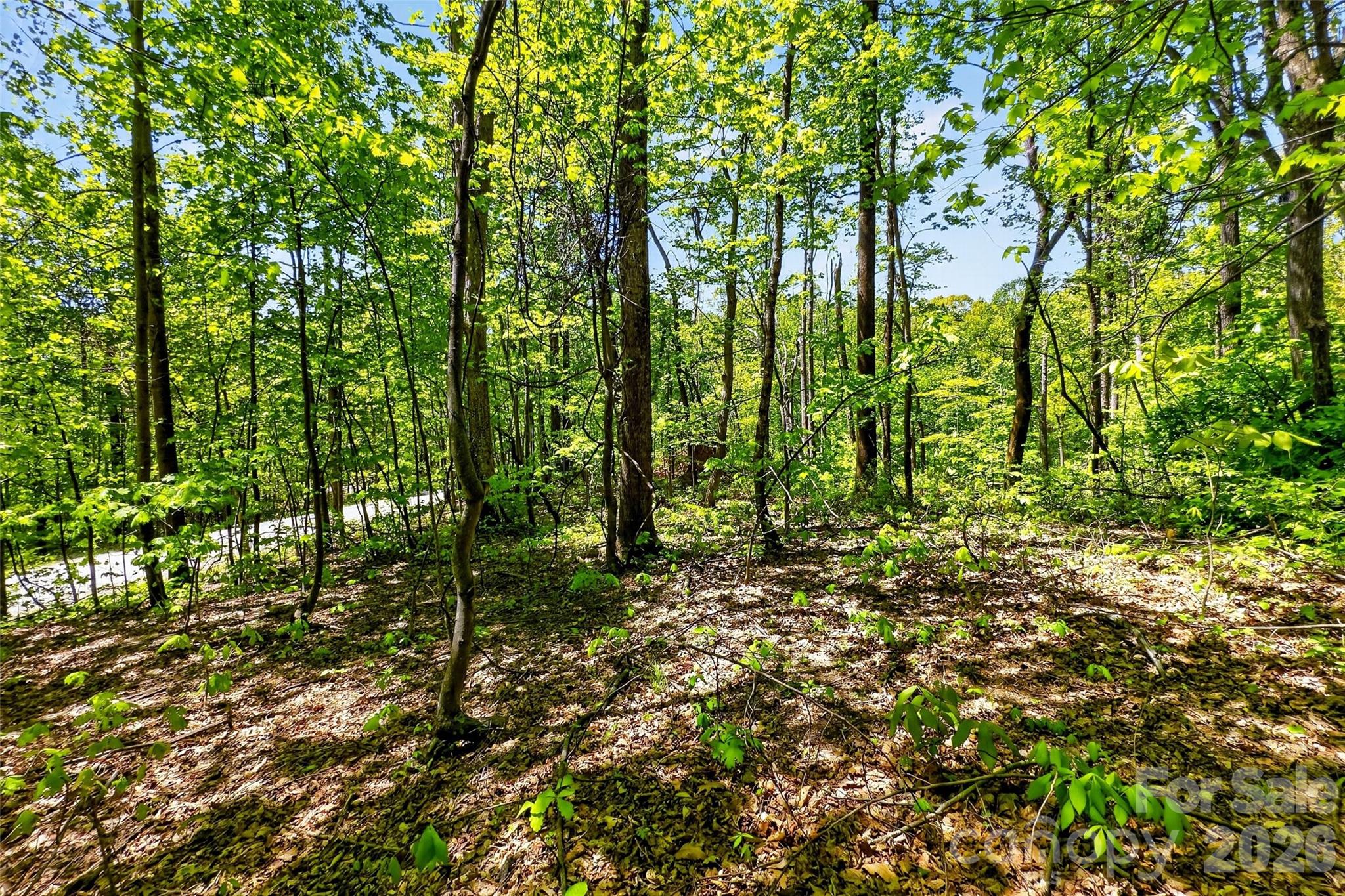 Gateway Mountain - Land