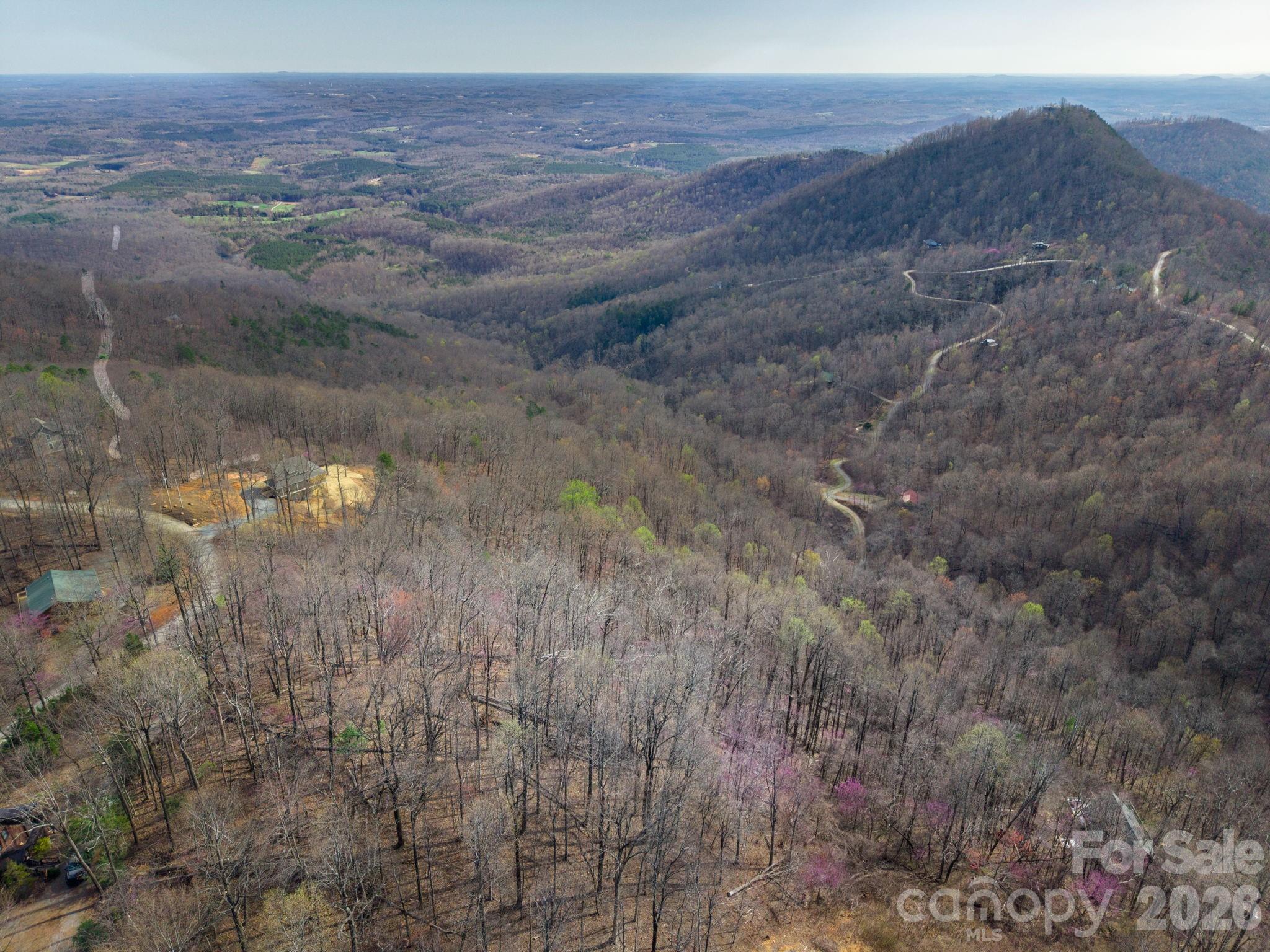 This property spans approximately 4.43 acres and is located within a gated community with gravel road access, offering both privacy and security. Electric service is available, and the property includes access to a community well with the water line already running down the driveway, just needs connection. A septic system is not yet installed. The land is part of Pinnacle Mountain POA with light restrictions, including a 1,000 sq ft minimum build, and is conveniently located within a reasonable drive to nearby towns like Forest City and Rutherfordton. Seller financing is available!