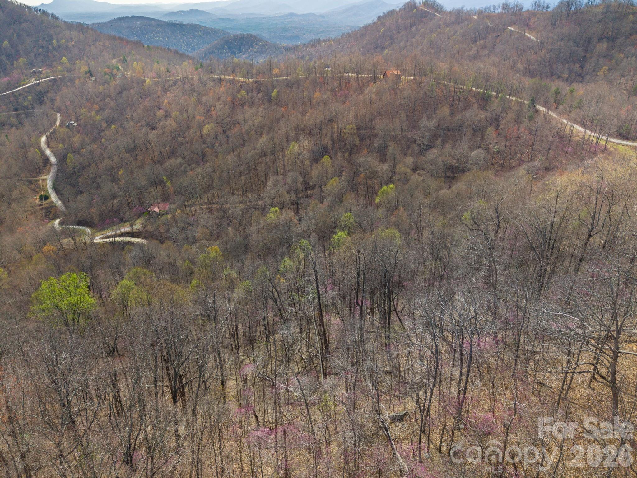 Pinnacle Mountain - Land