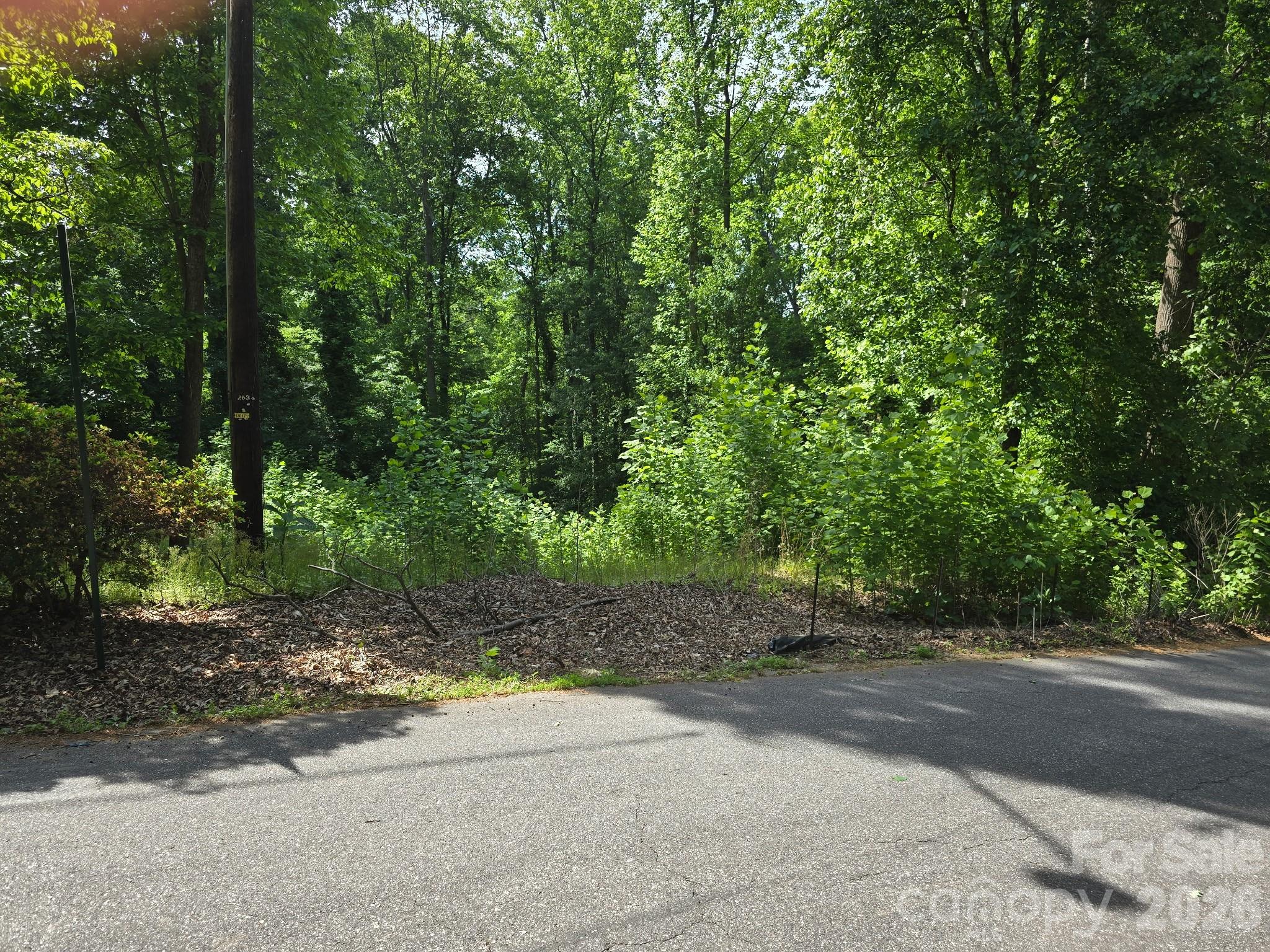 Build your dream home or a great investment property. Build when you want on this beautiful half acre lot and choose your own builder. This site is partially cleared and ready for your basement or tall crawl home. Remaining trees are almost all hardwoods. Sewer and water taps have been installed and are fully paid for. Seller will finance up to 70% of purchase price for qualified buyers.  Quiet neighborhood of established custom homes.