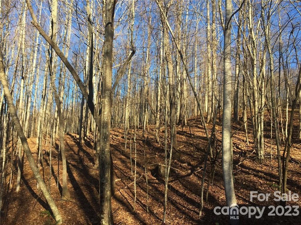 Avery Park - Land