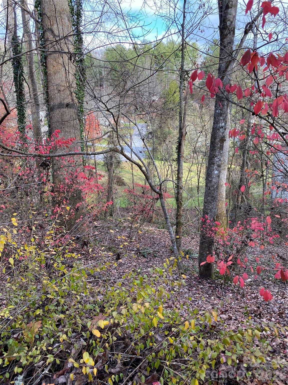 Developer opportunity close to downtown Brevard to own multiple lots in Waterford Place.  Waterford Place is located across from Brevard Music Center and adjacent to miles of hiking and mountain biking in Bracken Mountain Preserve.

Lot fees are $395 per month per lot.