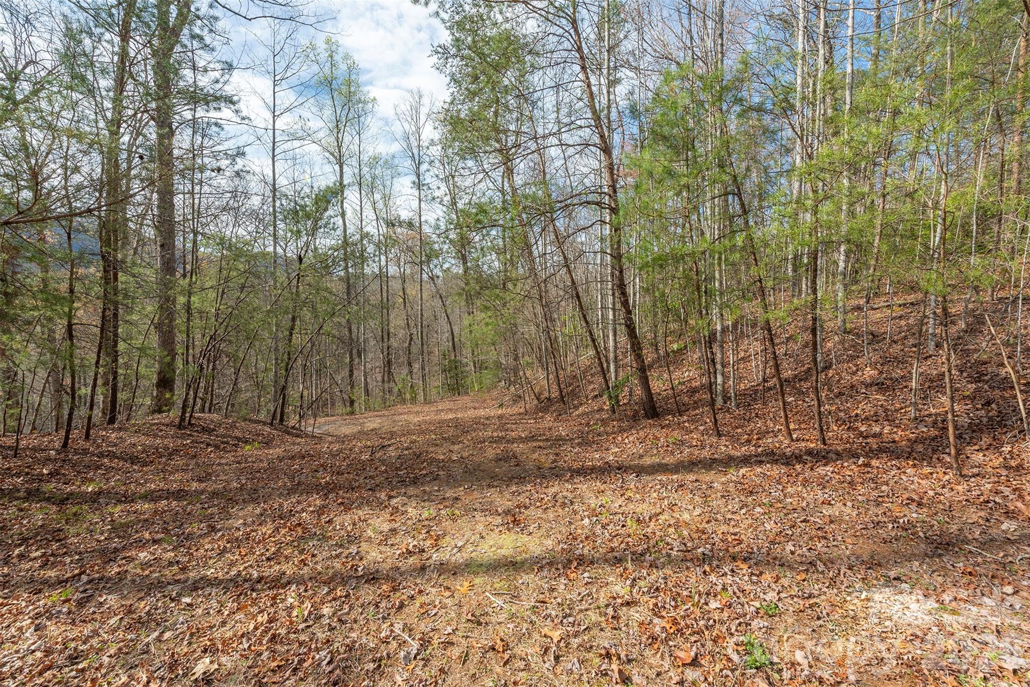 Three Creeks - Land