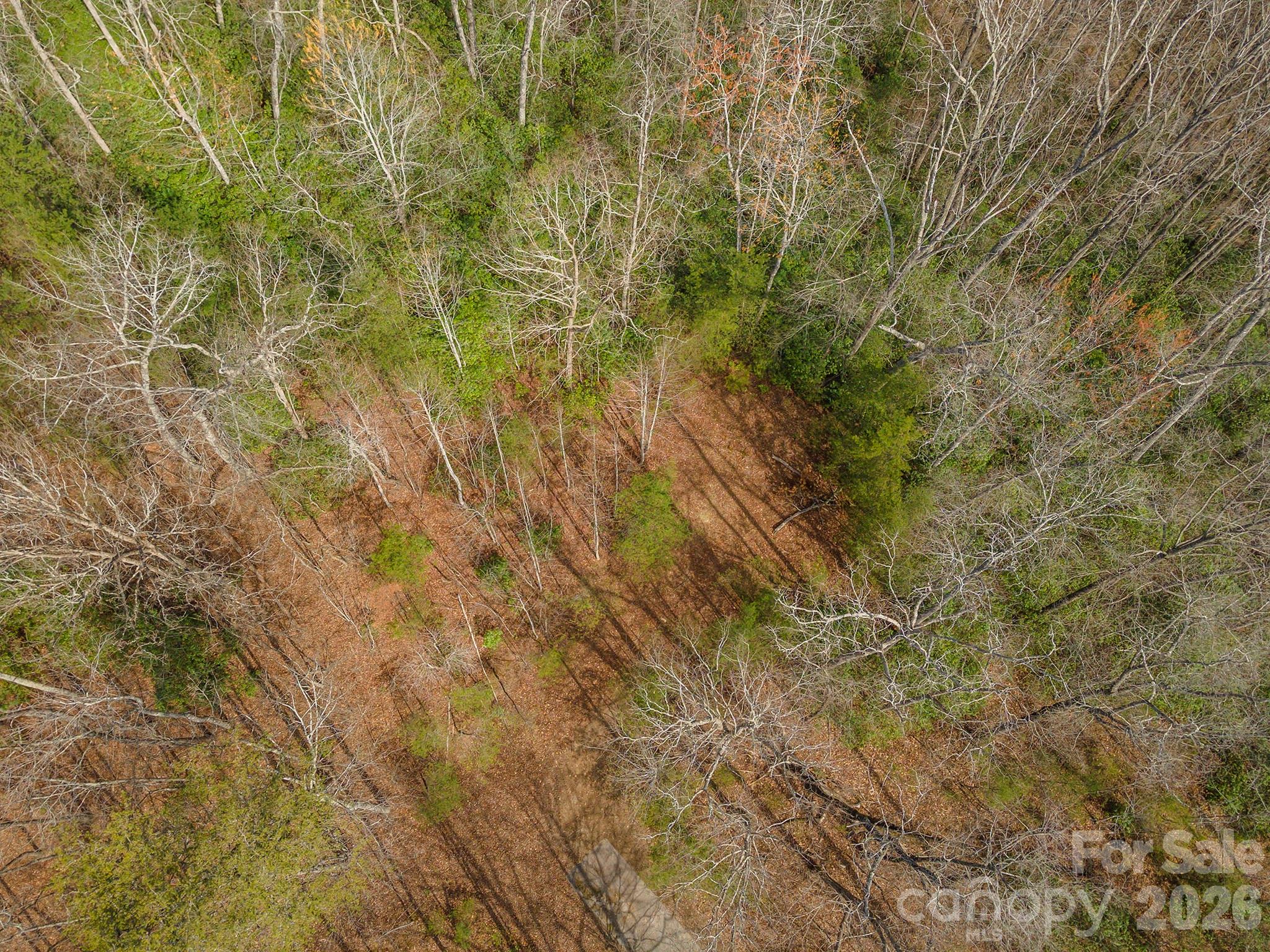 Three Creeks - Land