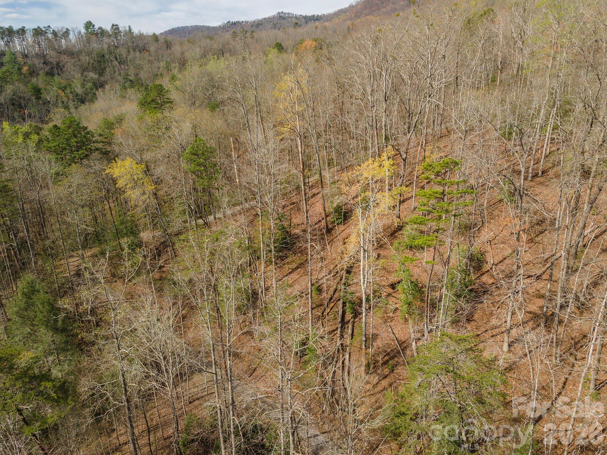 Three Creeks - Land