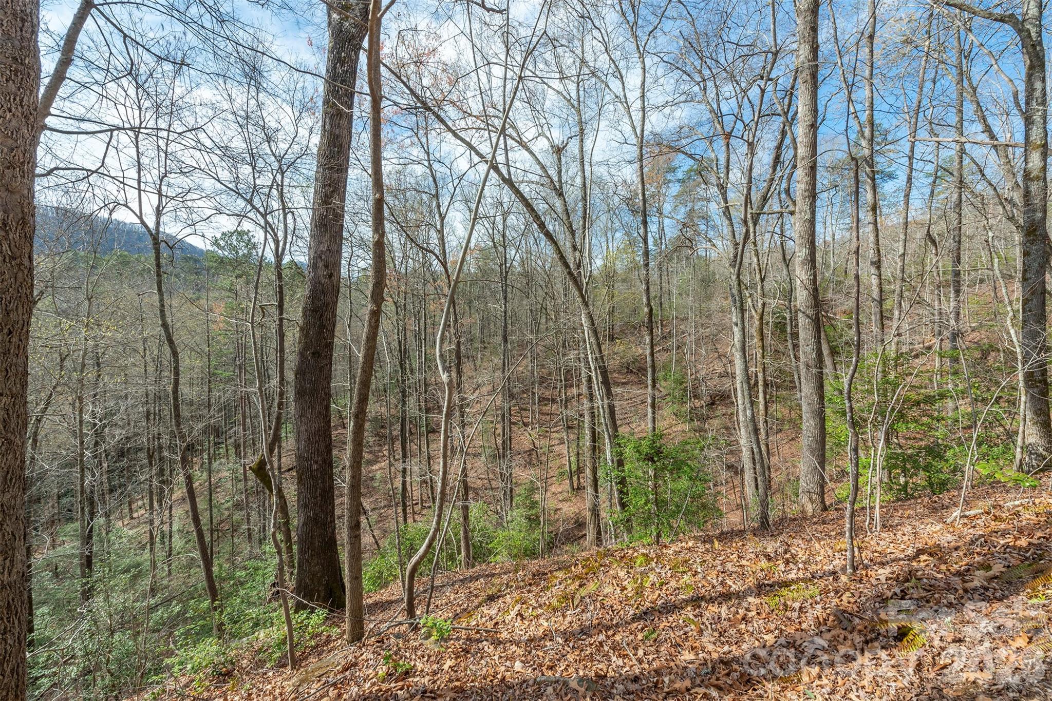 Three Creeks - Land