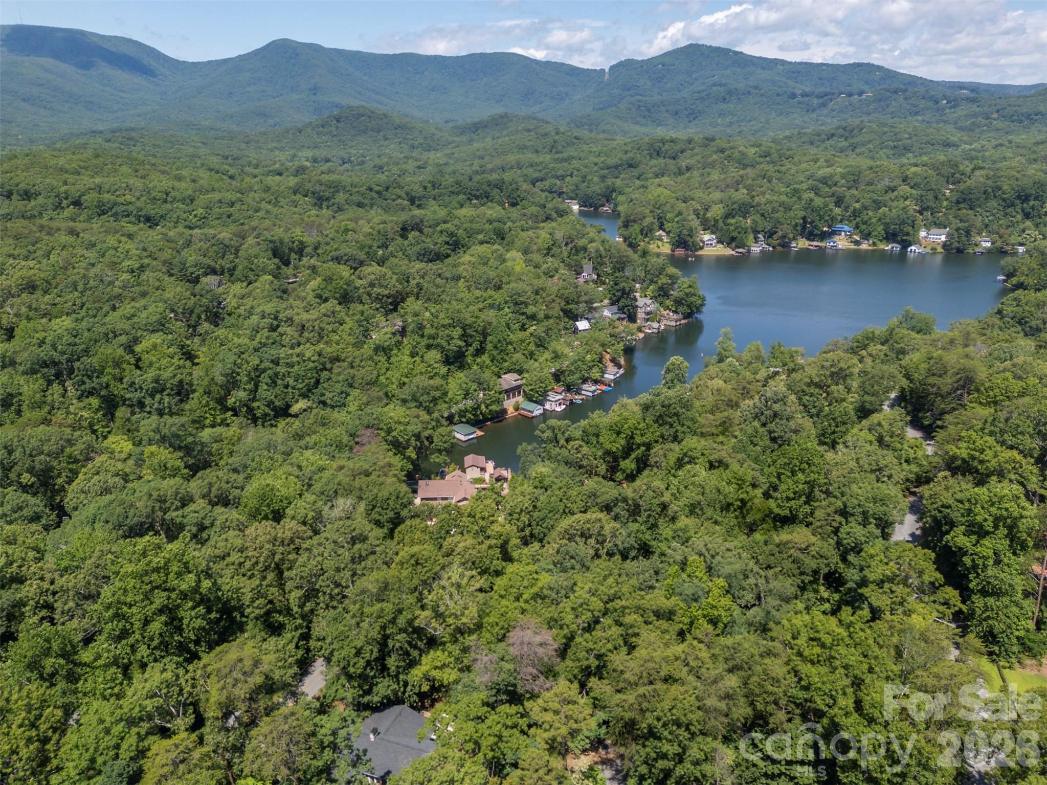 Lake Lanier - Residential