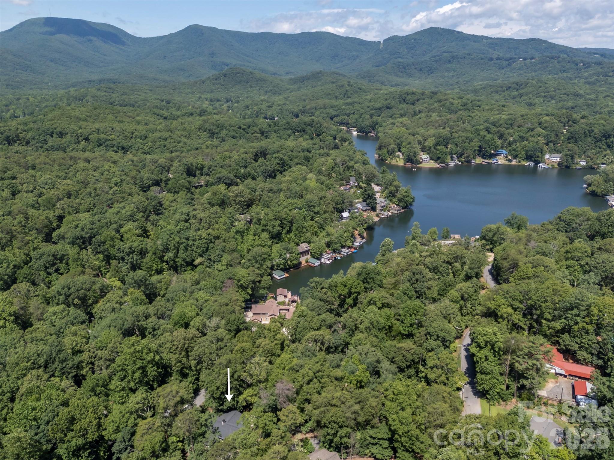 Lake Lanier - Residential