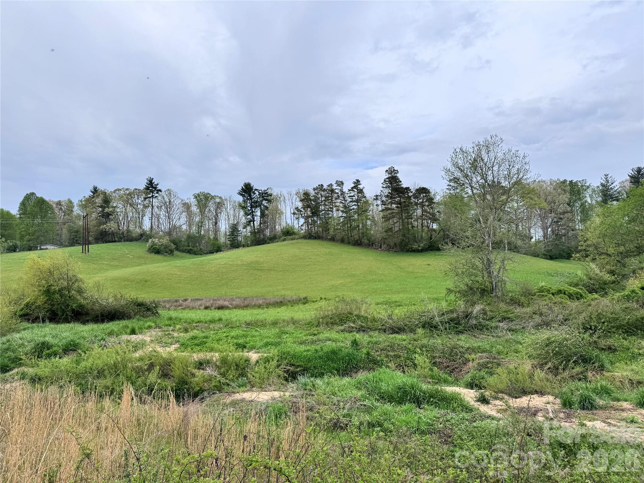 Rarely does a property this close to Asheville offer the combination of acreage, long-range Blue Ridge views, open pasture, flowing water, and multiple homesite opportunities. Whether you envision a private mountain estate, equestrian property, family compound, working farm, or long-term land investment, this 28-acre tract provides the flexibility to create something truly exceptional. Located just minutes from Asheville, the property offers privacy and natural beauty without sacrificing convenience.

A true birder’s paradise, it is home to a variety of native species and well-worn deer trails weave throughout the landscape. The diverse terrain includes rolling meadows, forests, and a gently flowing stream, creating a peaceful and picturesque setting. Despite its seclusion, this property is conveniently located just a short drive from Asheville’s vibrant dining, shopping, and cultural scene. Whether you dream of a mountain getaway, an equestrian property, or a homestead, this land offers an unparalleled opportunity to embrace nature while staying close to modern conveniences. Don’t miss this rare chance to own a pristine piece of land.