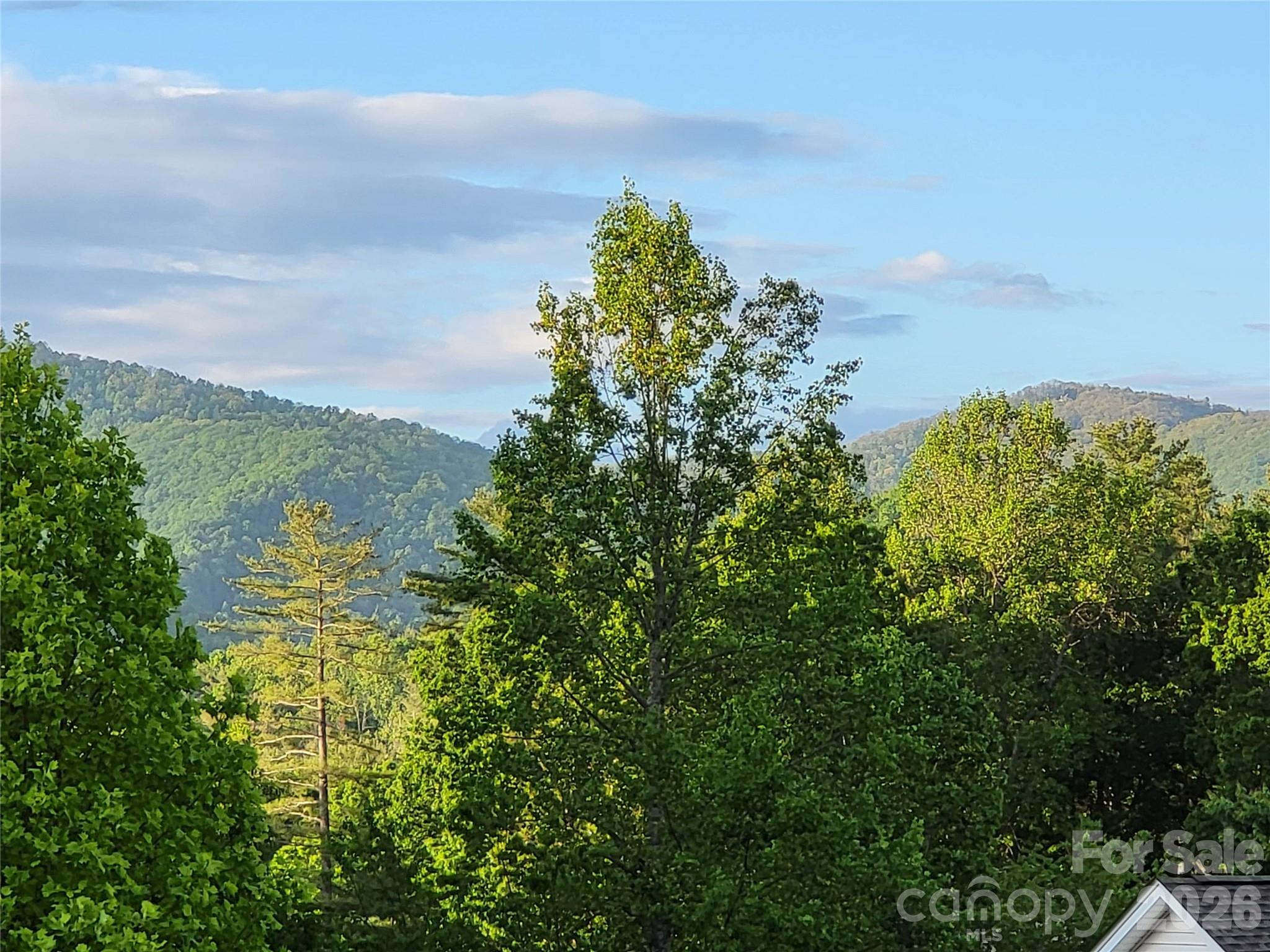 Corbran Woods - Residential