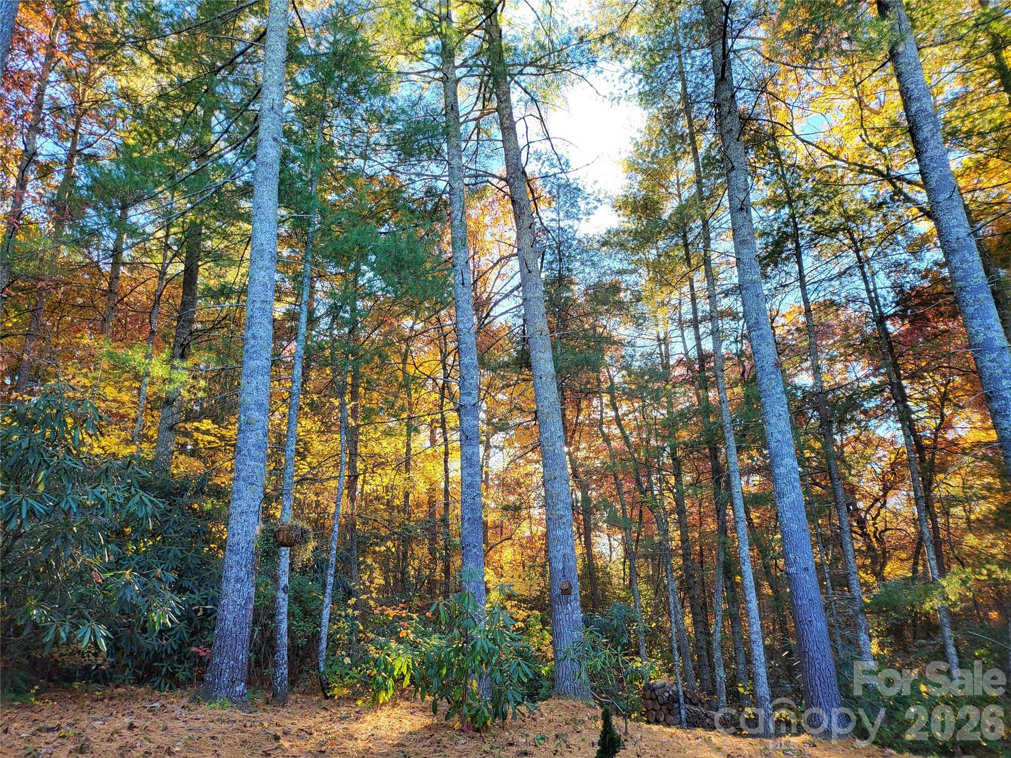 Corbran Woods - Residential