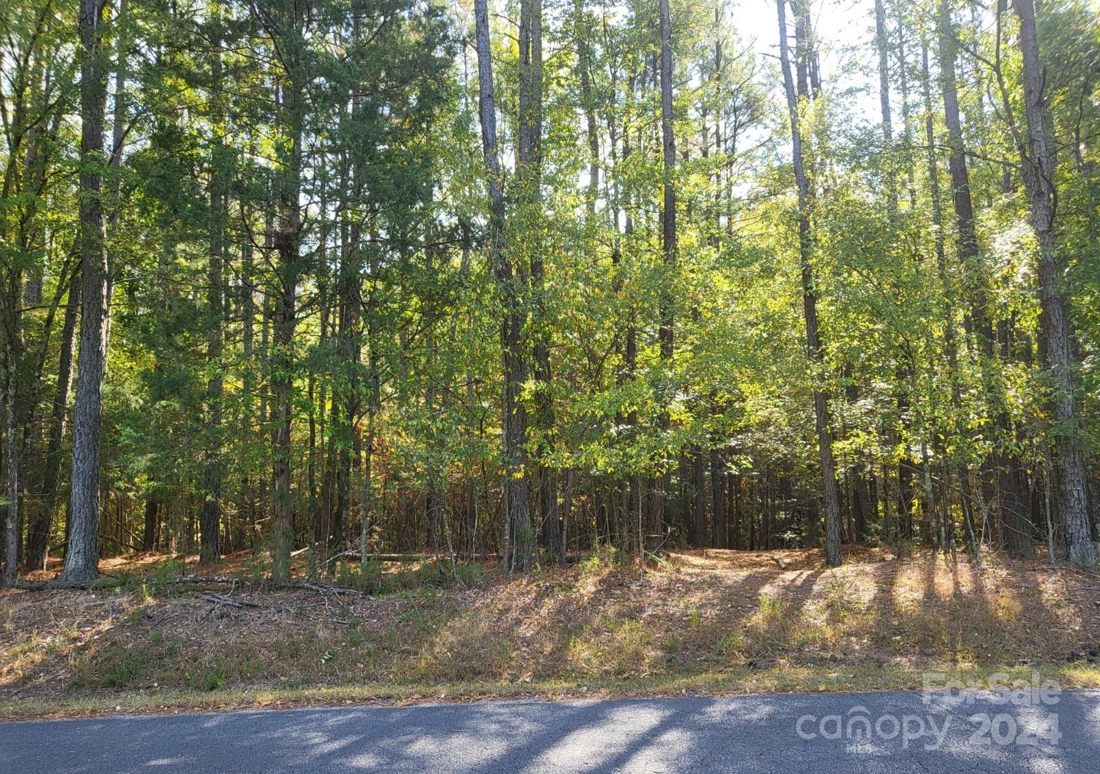 Allison Creek Estates - Land