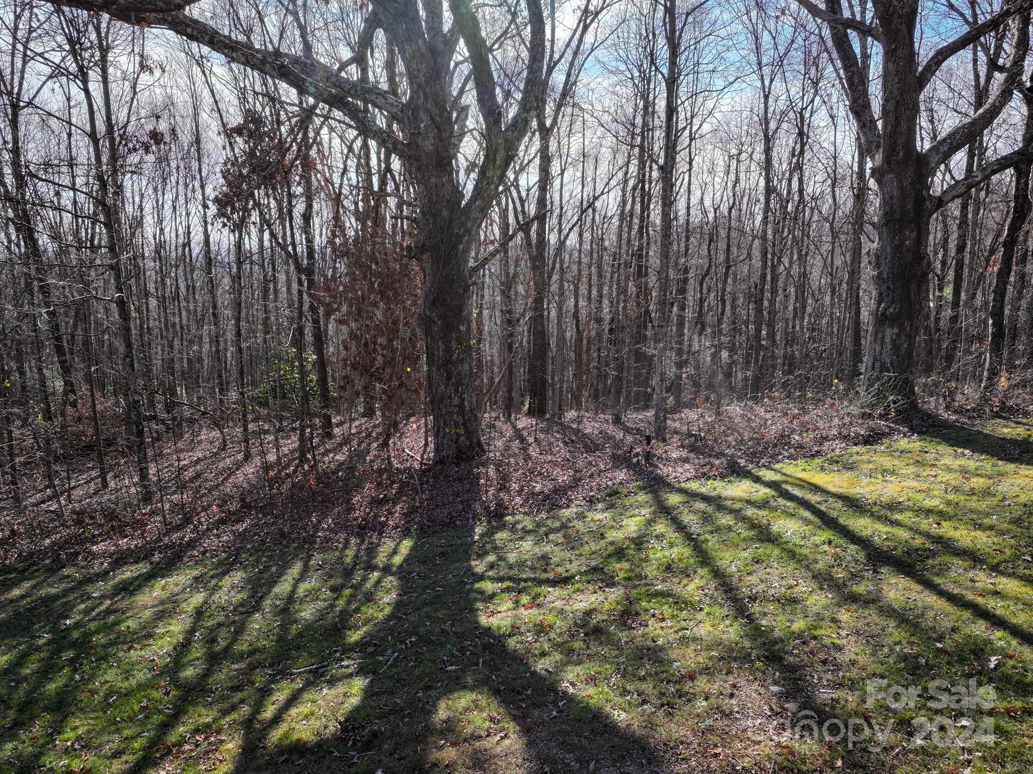 Grand Highlands at Bearwallow - Land
