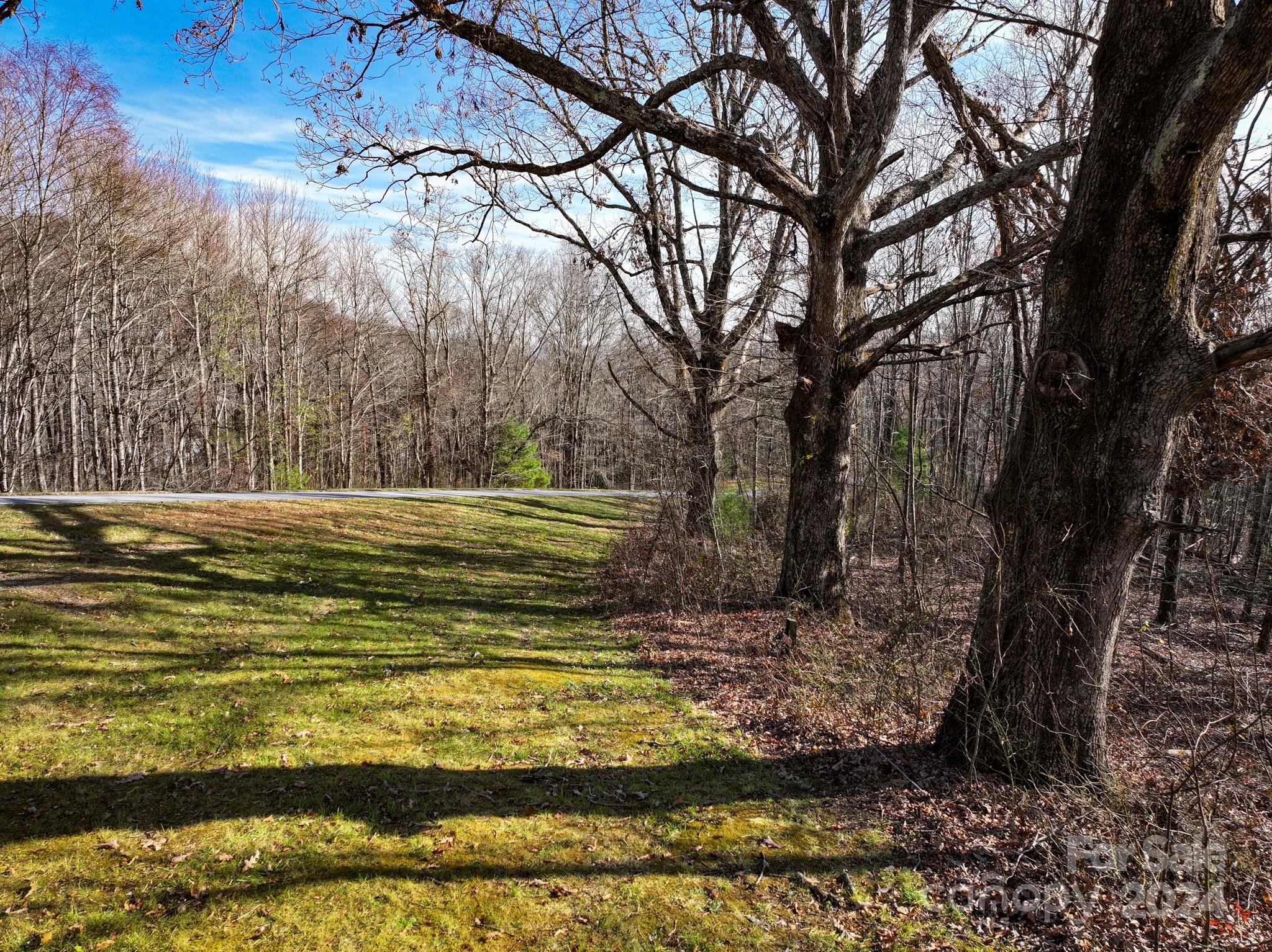 Grand Highlands at Bearwallow - Land
