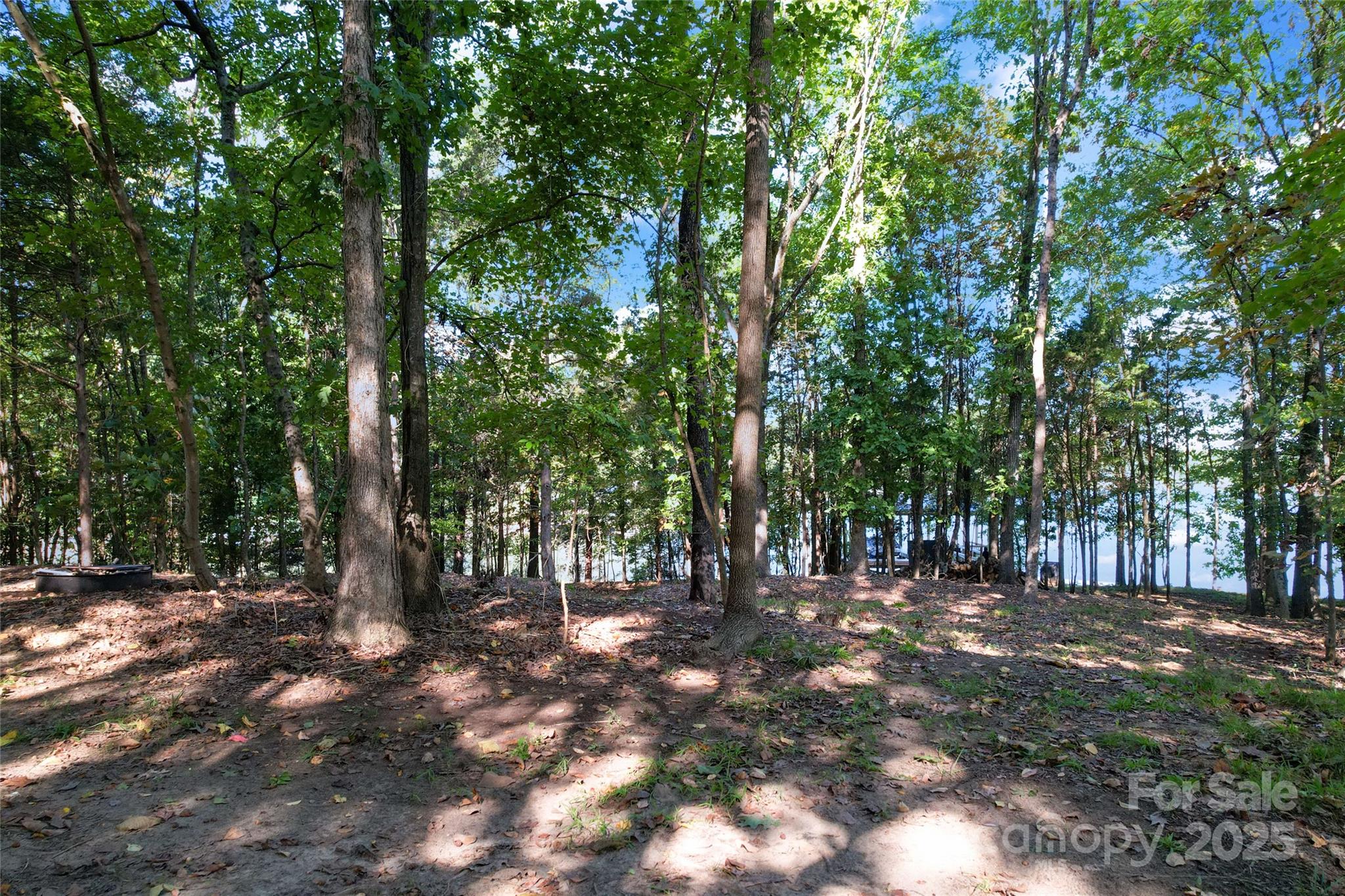 Lake Wylie - Land