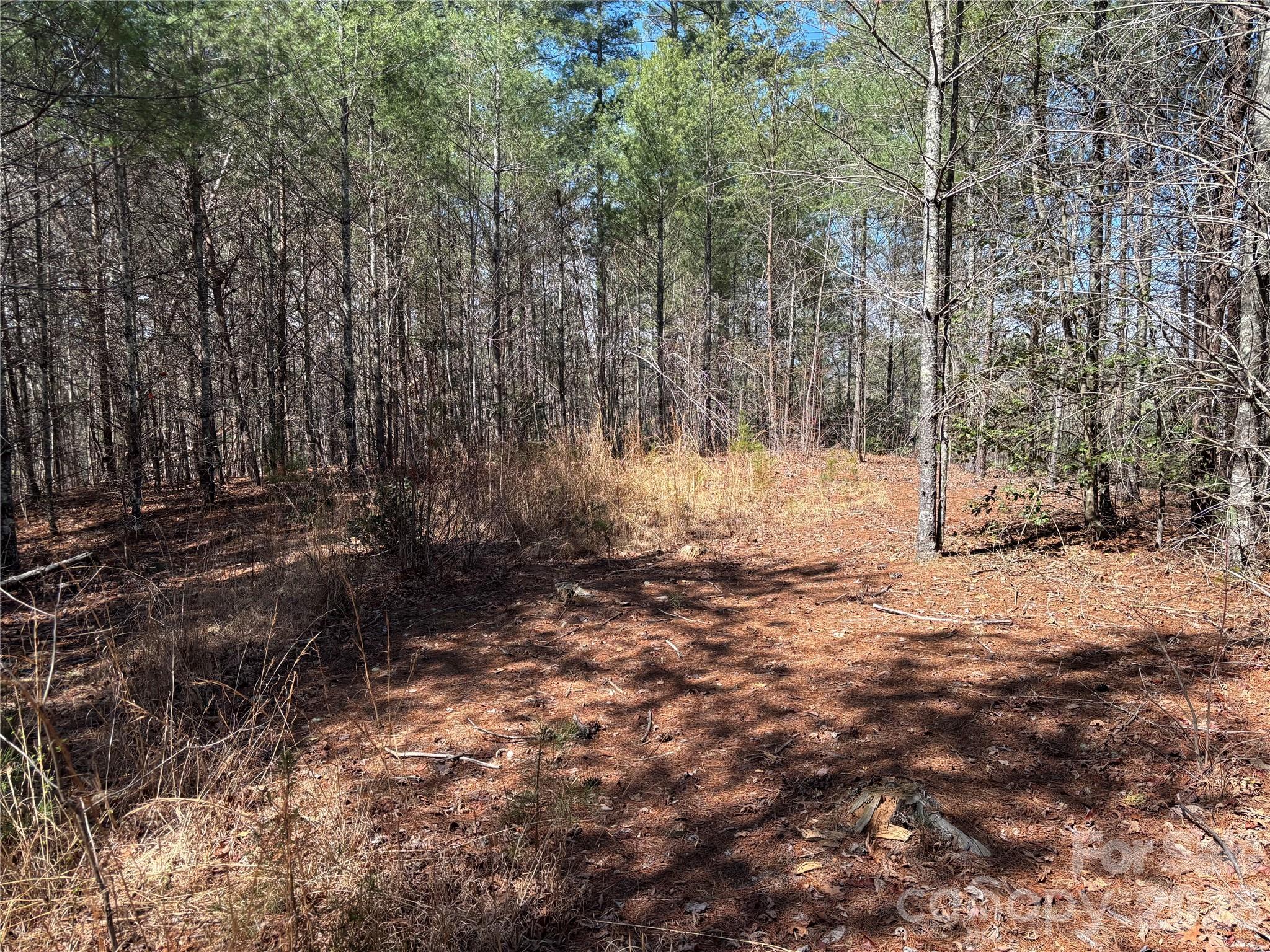 The Coves Mountain River Club - Land