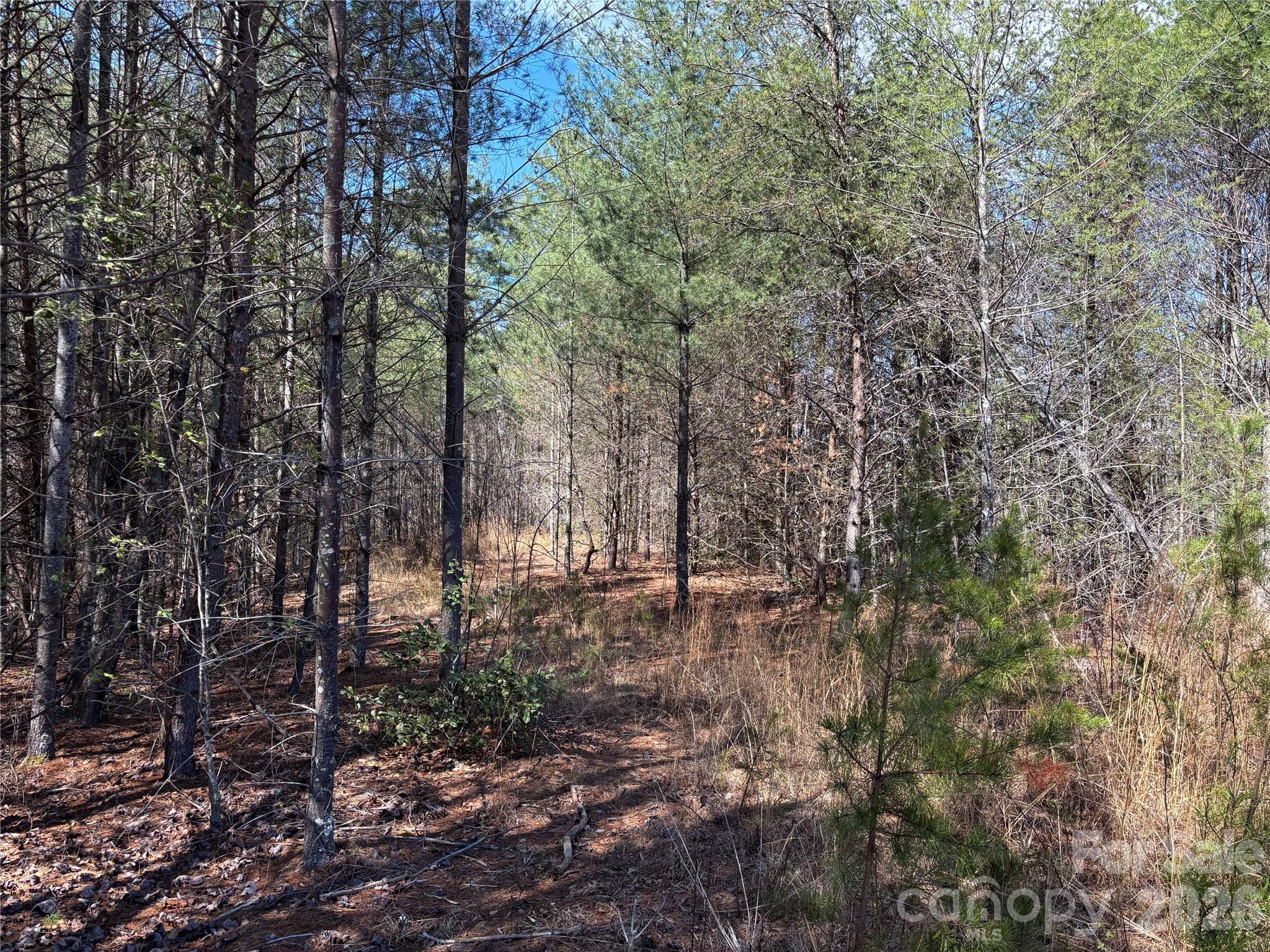 The Coves Mountain River Club - Land