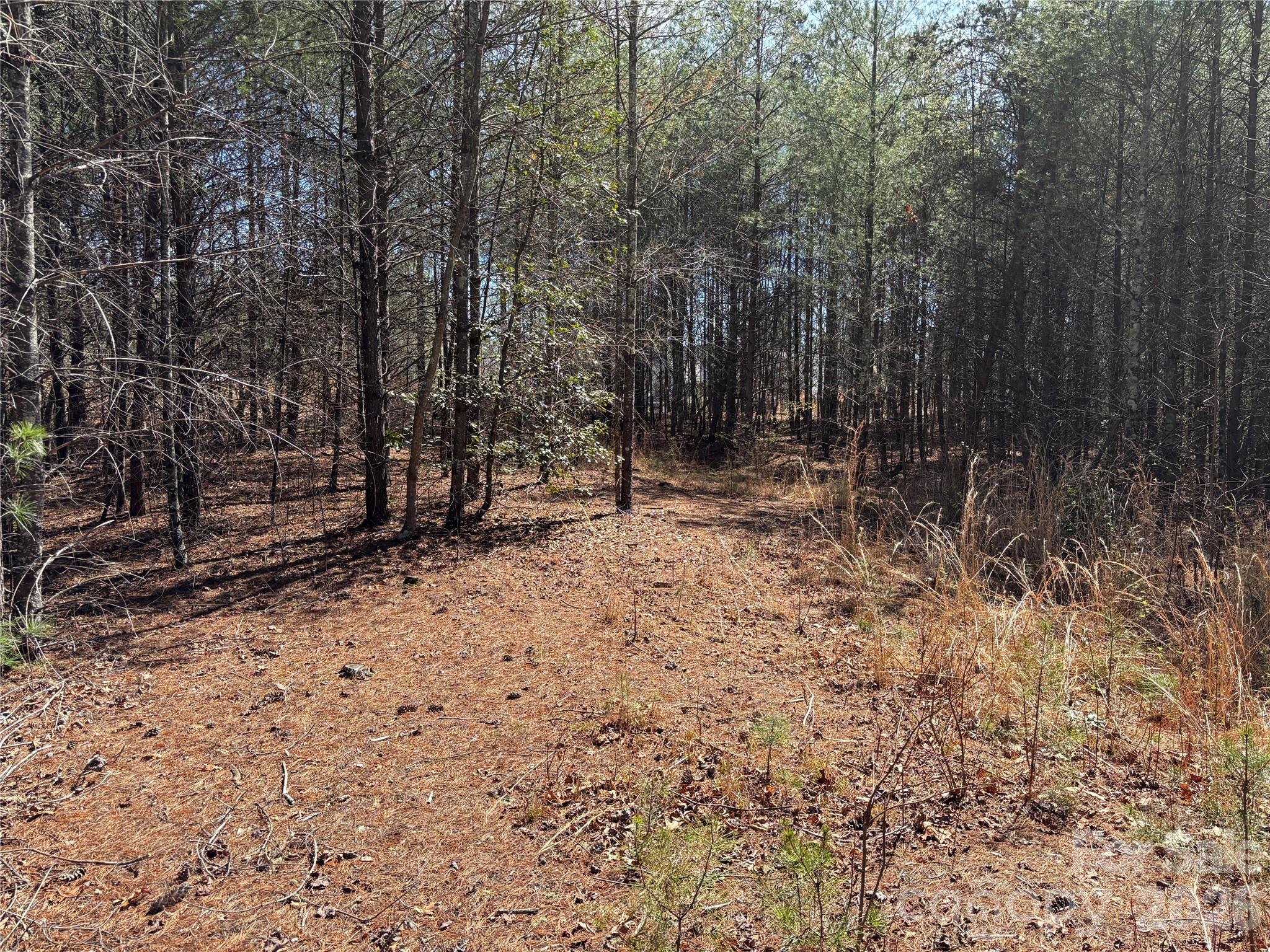 The Coves Mountain River Club - Land