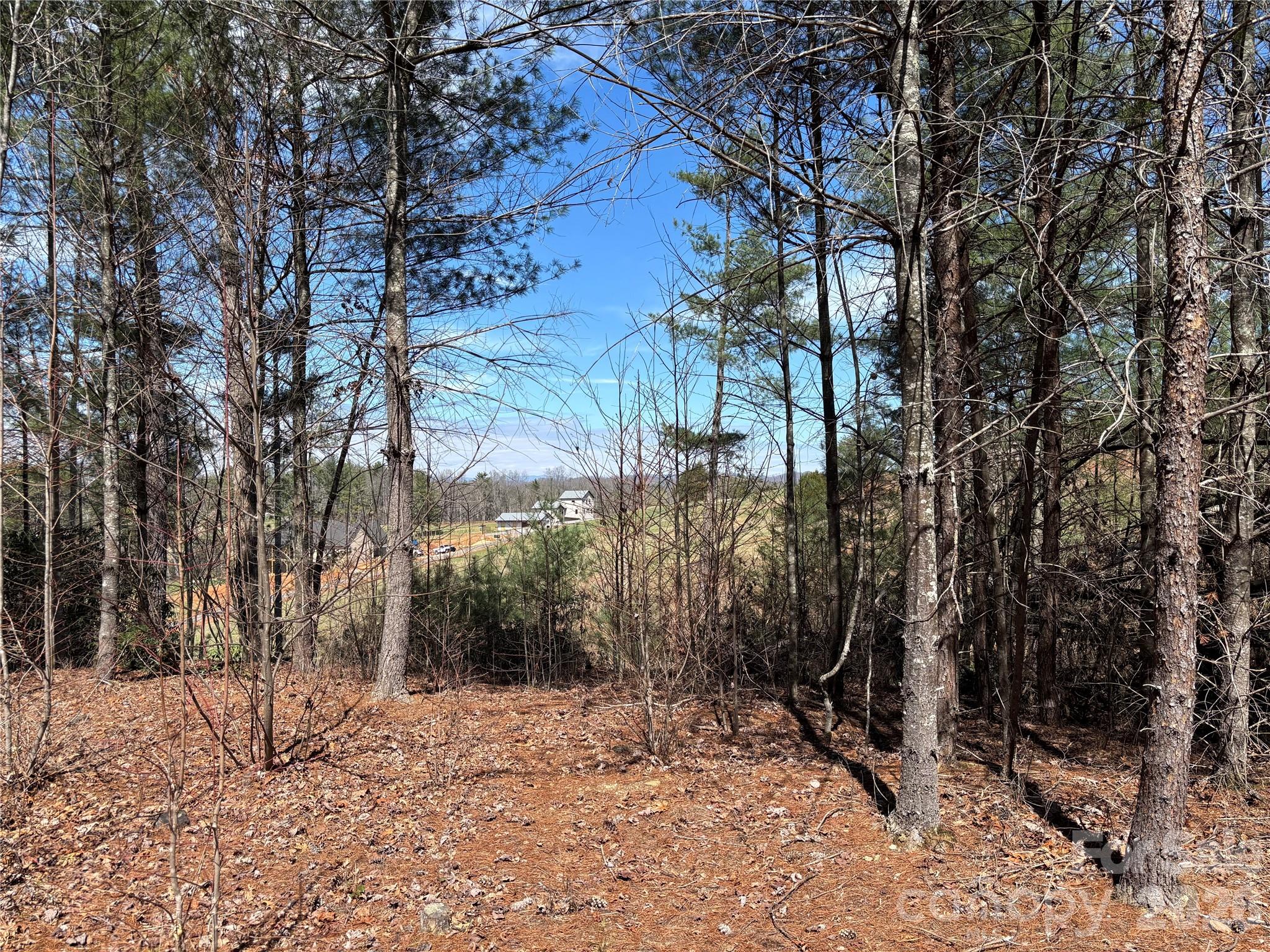 The Coves Mountain River Club - Land